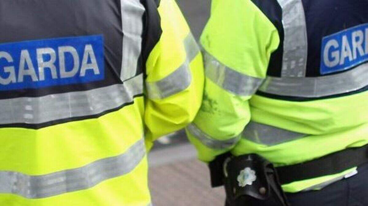 Safety group says 15pc drop in garda road policing numbers is ‘heart ...