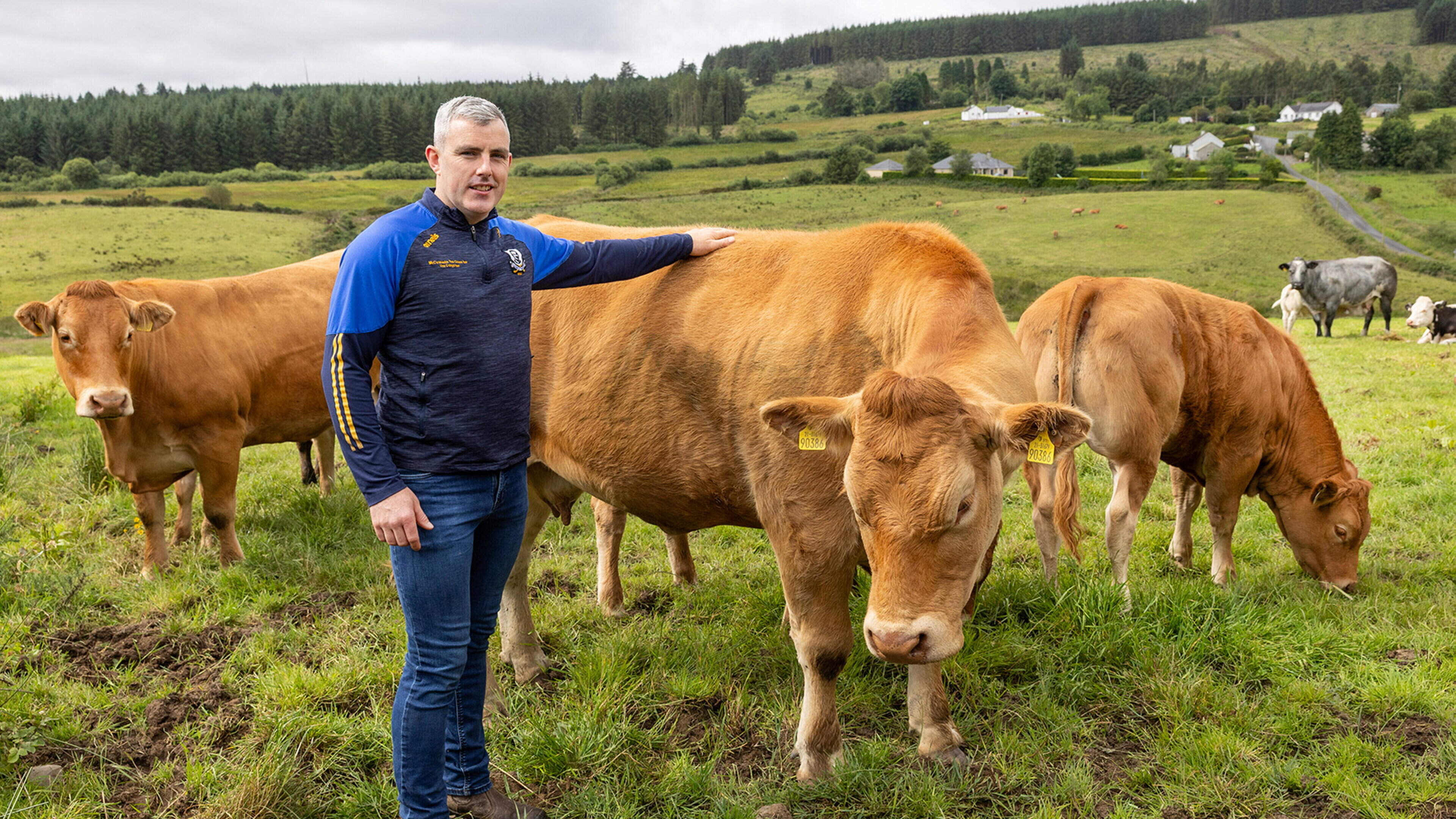 From €12,500 bulls to €16,000 show calves – a Tipperary father-and-son team share their formula for success
