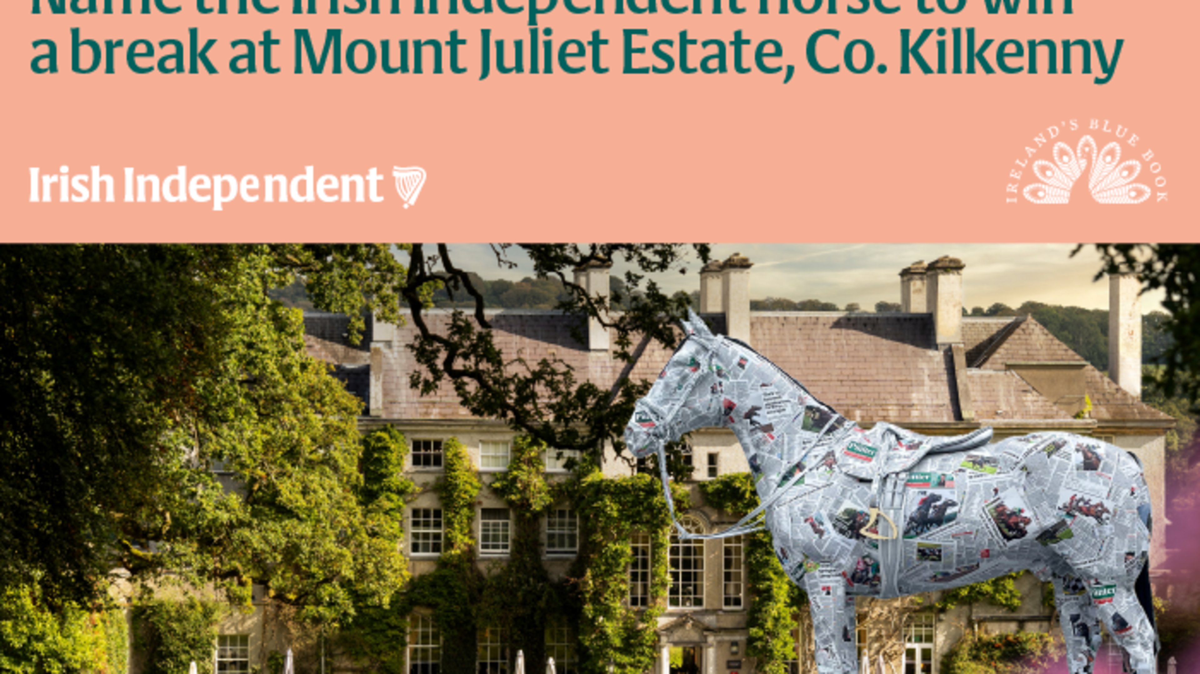 Name the Irish Independent Horse Competition