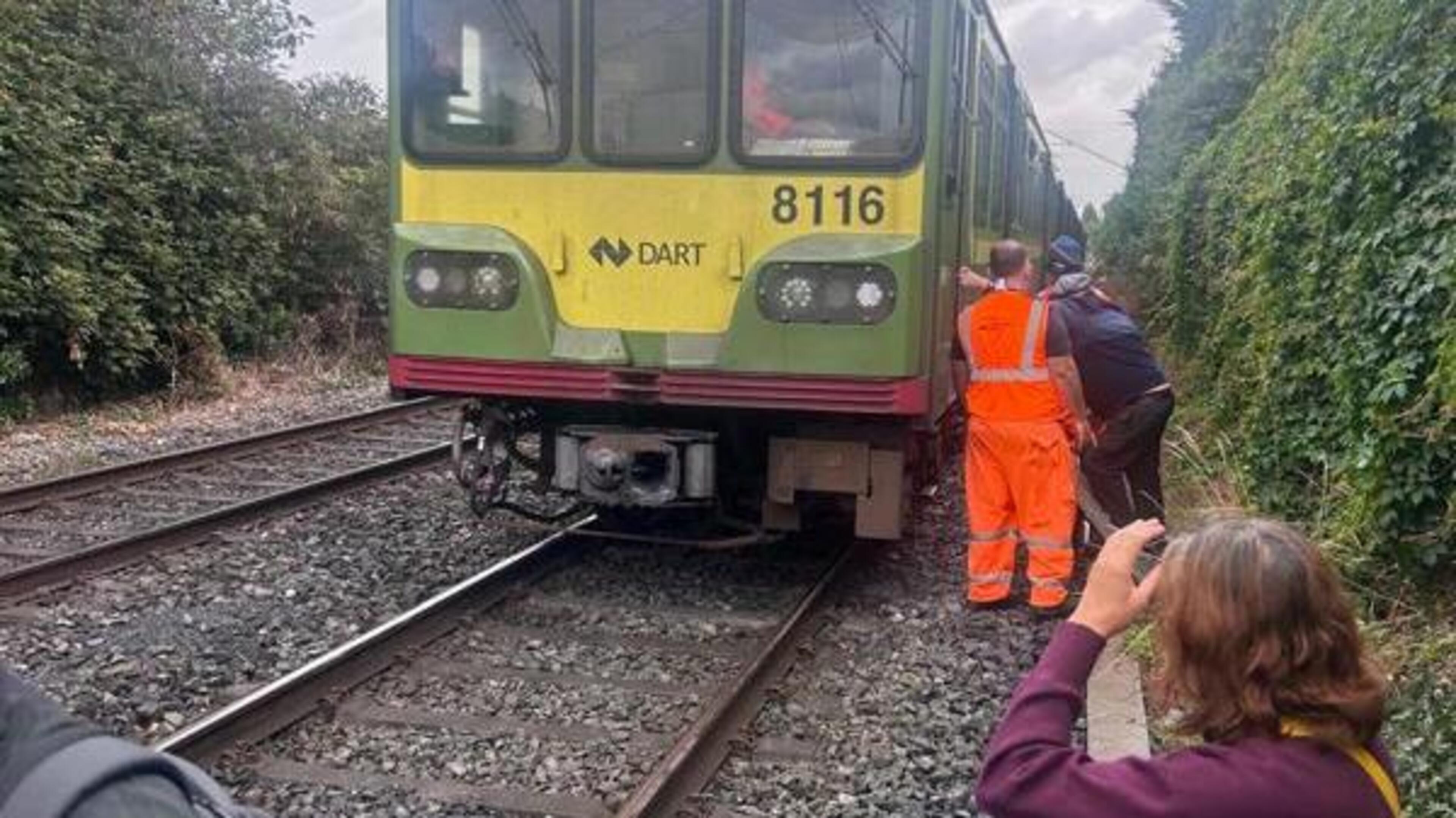 Commuters forced to walk along Dart line after ‘major signalling issue’ hits services