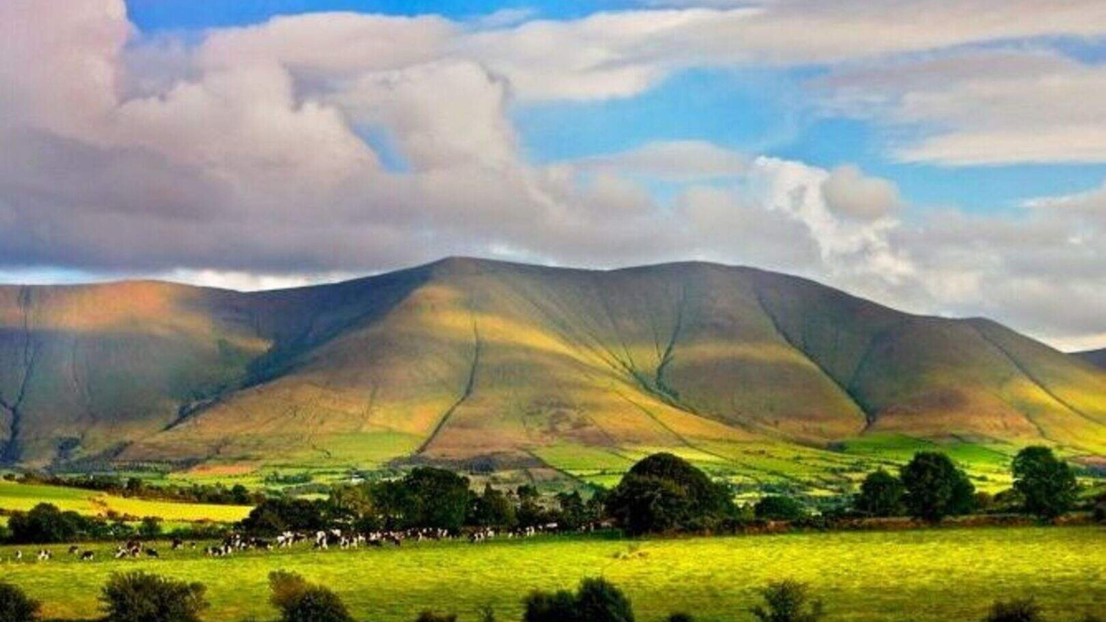 Gardaí investigating after man’s body found in Galtee mountains in Tipperary