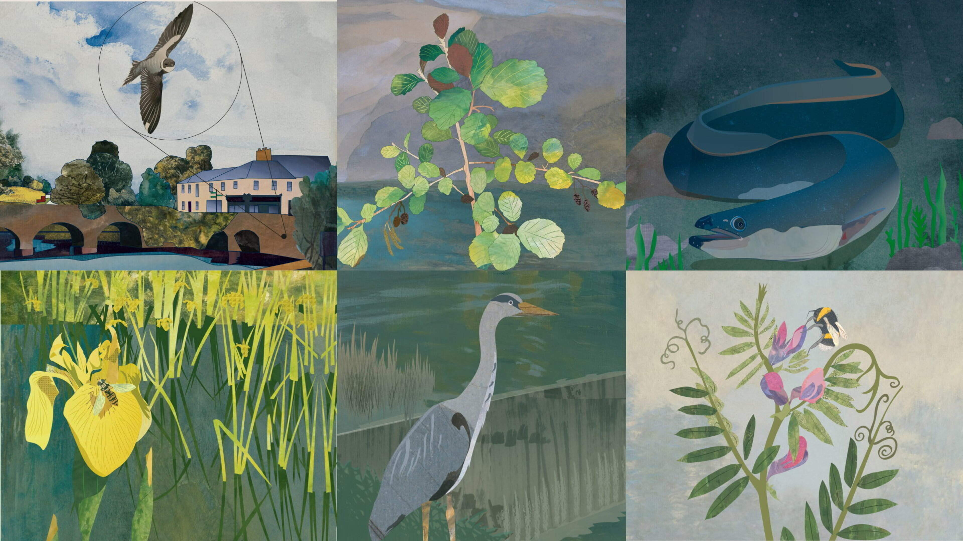 Leitrim’s biodiversity comes to life on colourful ‘canal coasters’ in hope of sparking conversation