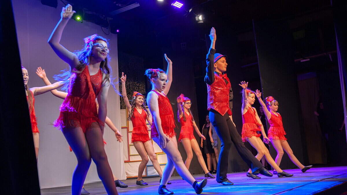 Calls for another Wexford venue continue as the show goes on - 'When the Dun Mhuire was knocked, it took away so much'