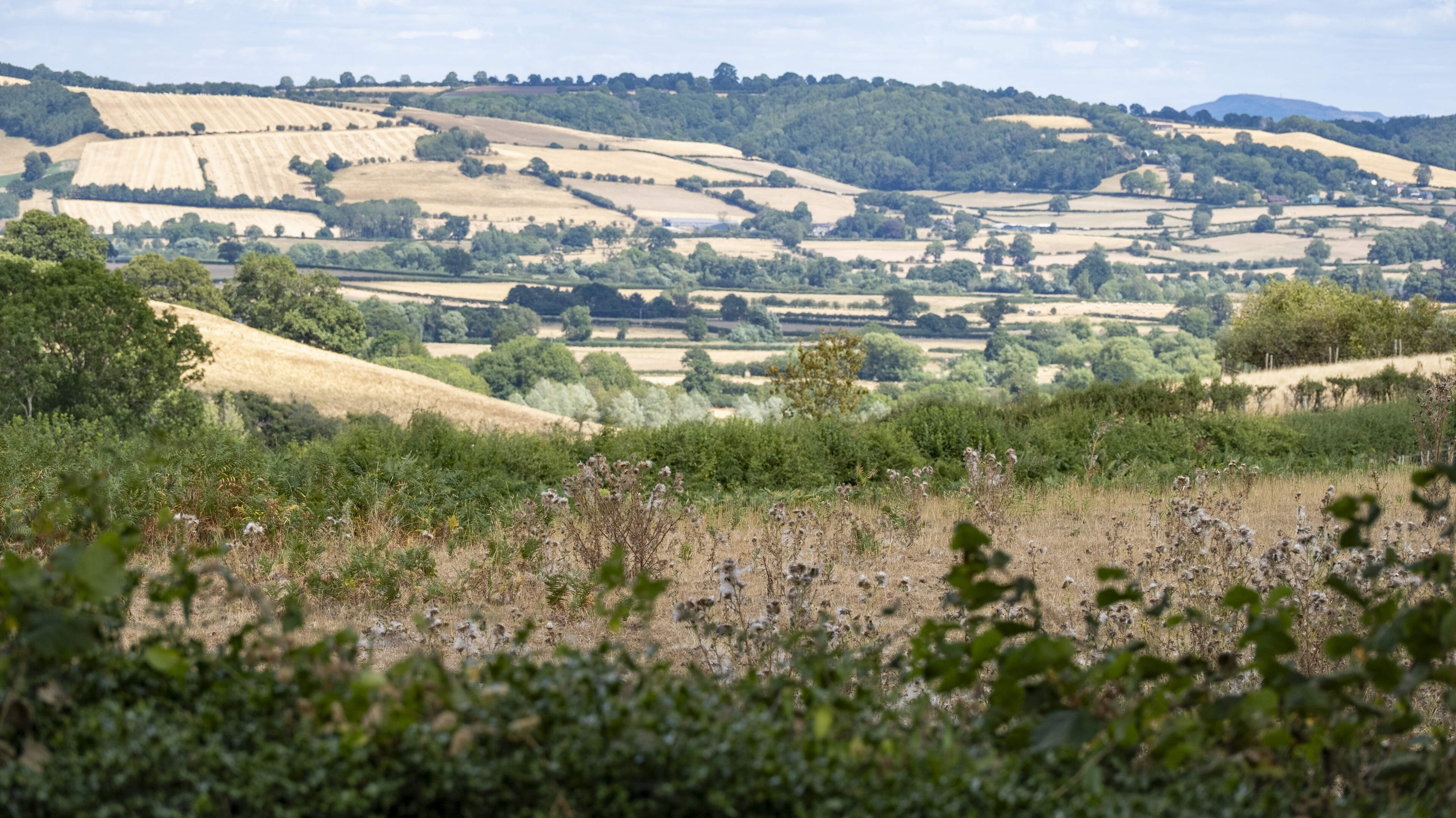 ‘Very long way to go’ before UK drought is over, officials warn despite rain