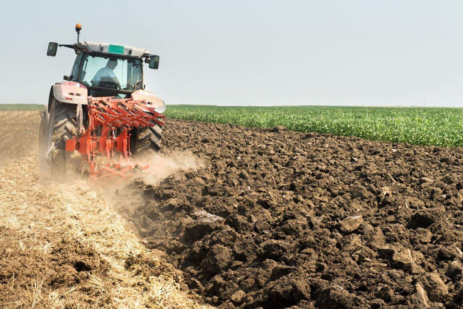 Regional Farm Labour Database being set up | Irish Independent