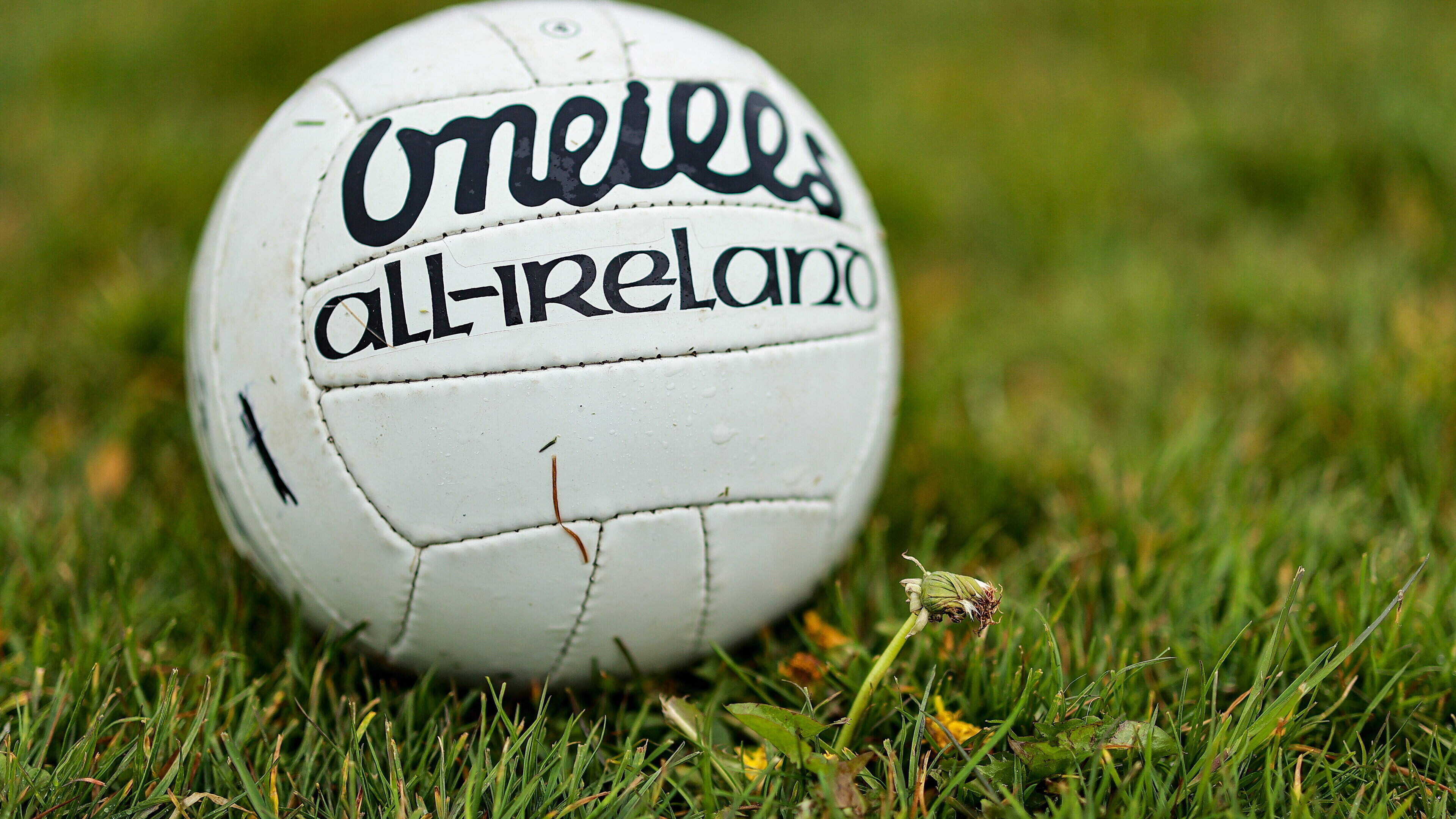 Starlights lift some of the gloom with Wexford IFC quarter-final success against Adamstown