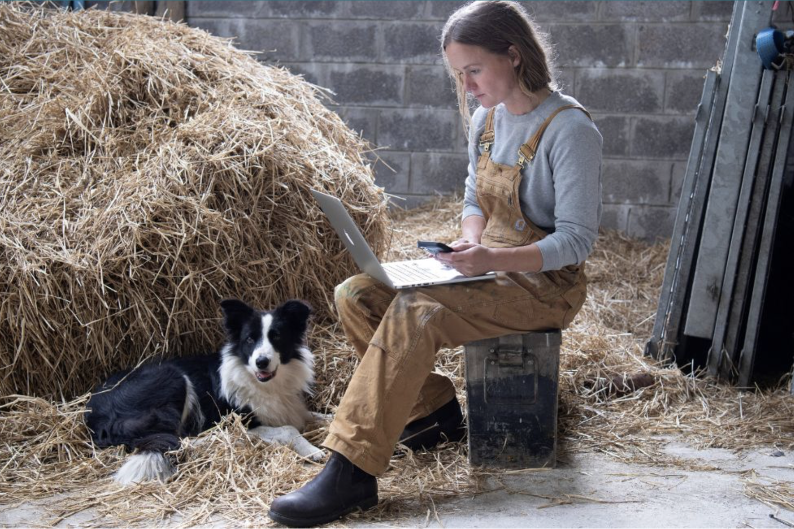 Rural Ireland Leads the Way in High-Speed Broadband Usage