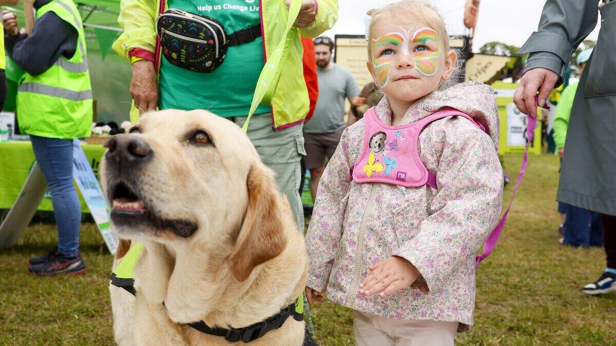 June Bank Holiday in Dublin - your guide to events happening across the capital