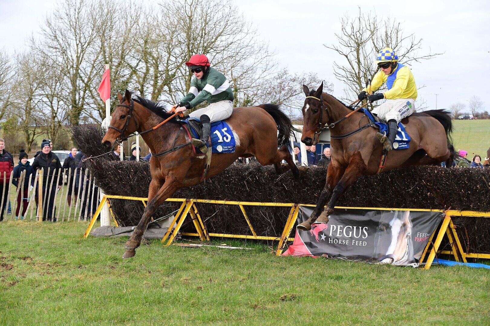 Alan O’Sullivan records poignant success in local point to point races ...
