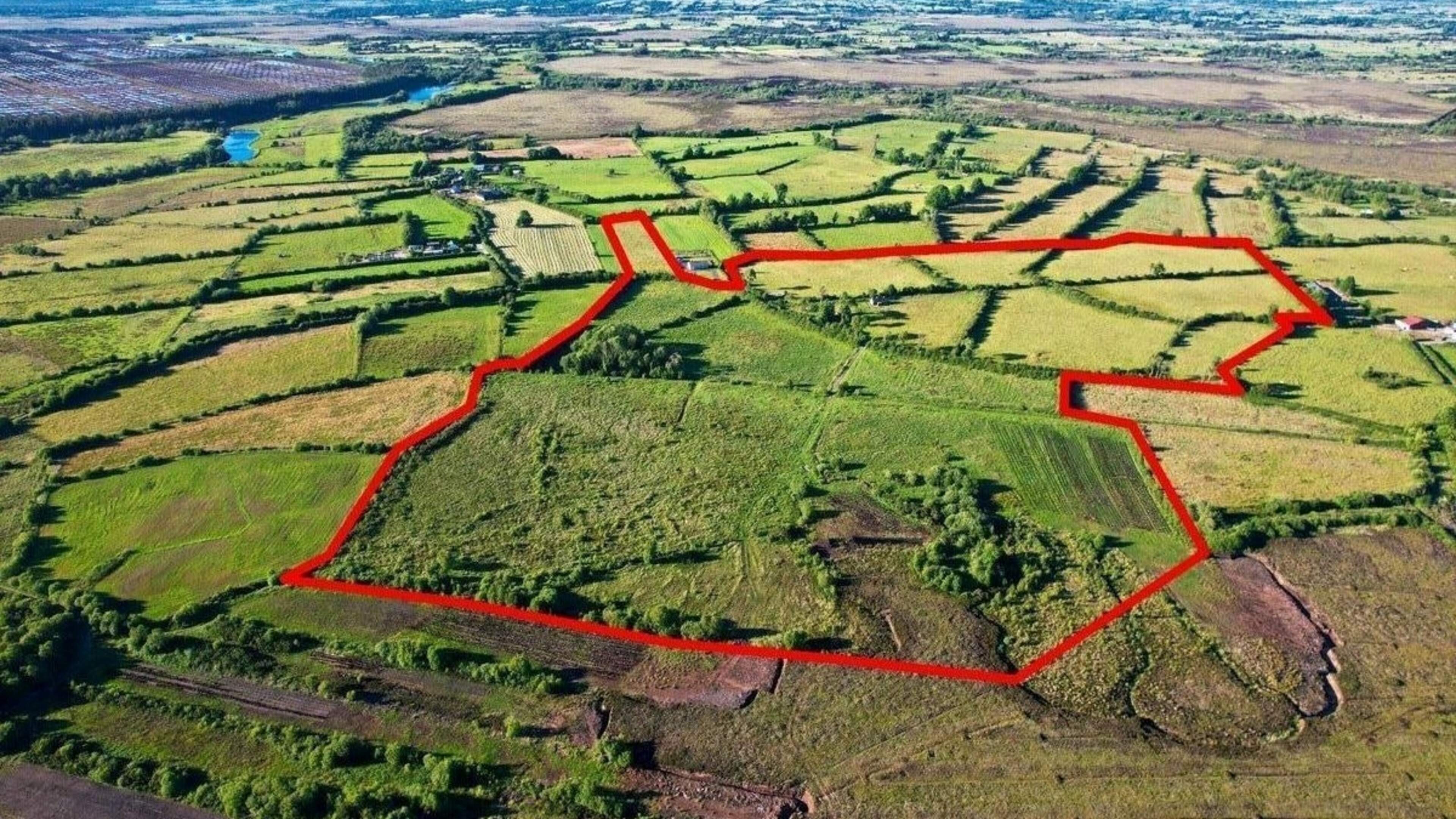 Vacant Property Refurbishment Grant turns rural Ireland into Jurassic Park for houses