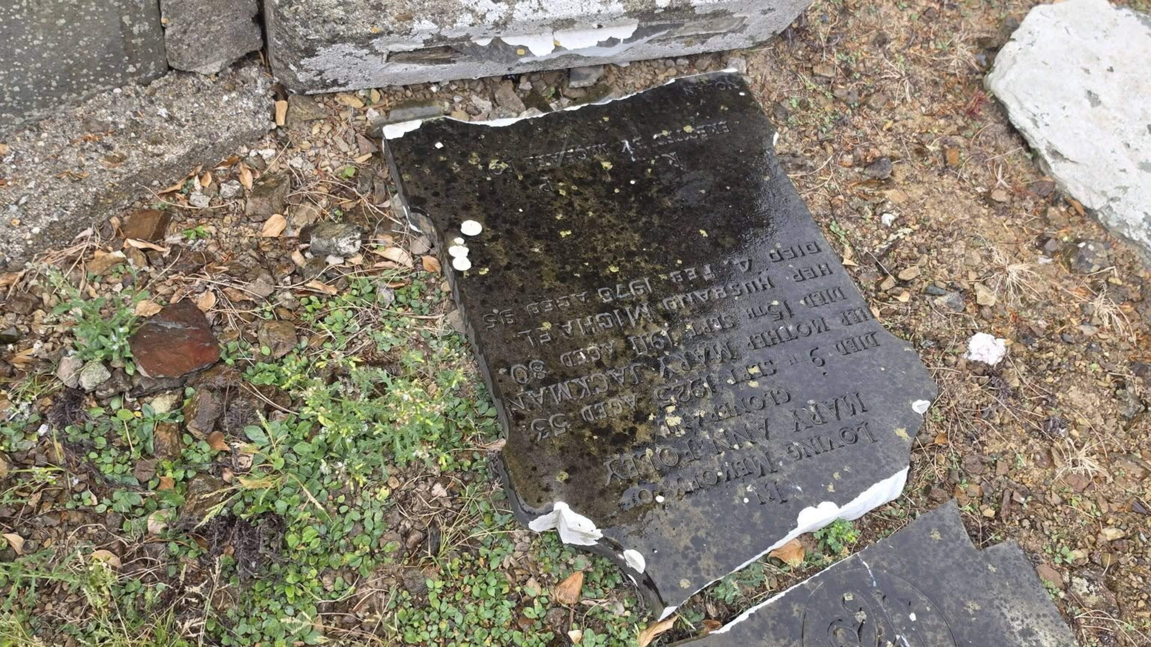 Gardaí seeking information as graves vandalised in historic Wexford graveyard