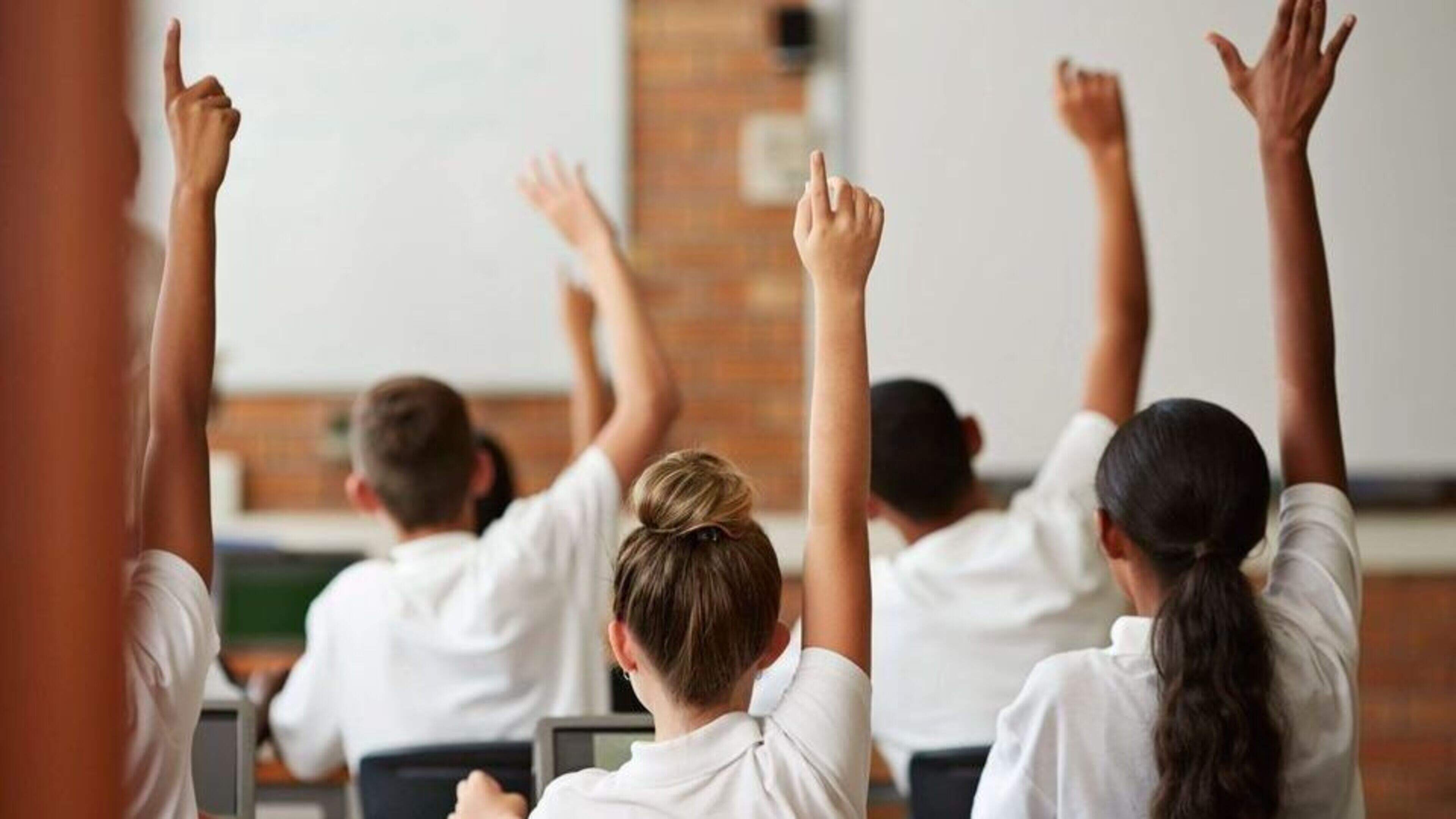 Pressure grows on government as almost 1,000 Wicklow pupils taught in classes of 30 or more