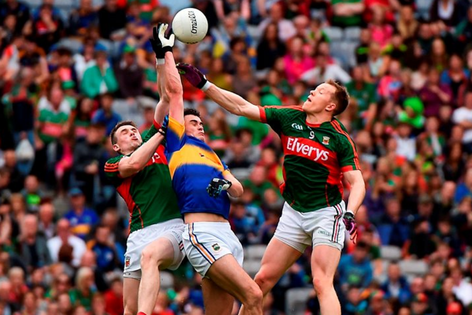 Quinlivan cites top Cats as the example to follow as Premier bid to ...
