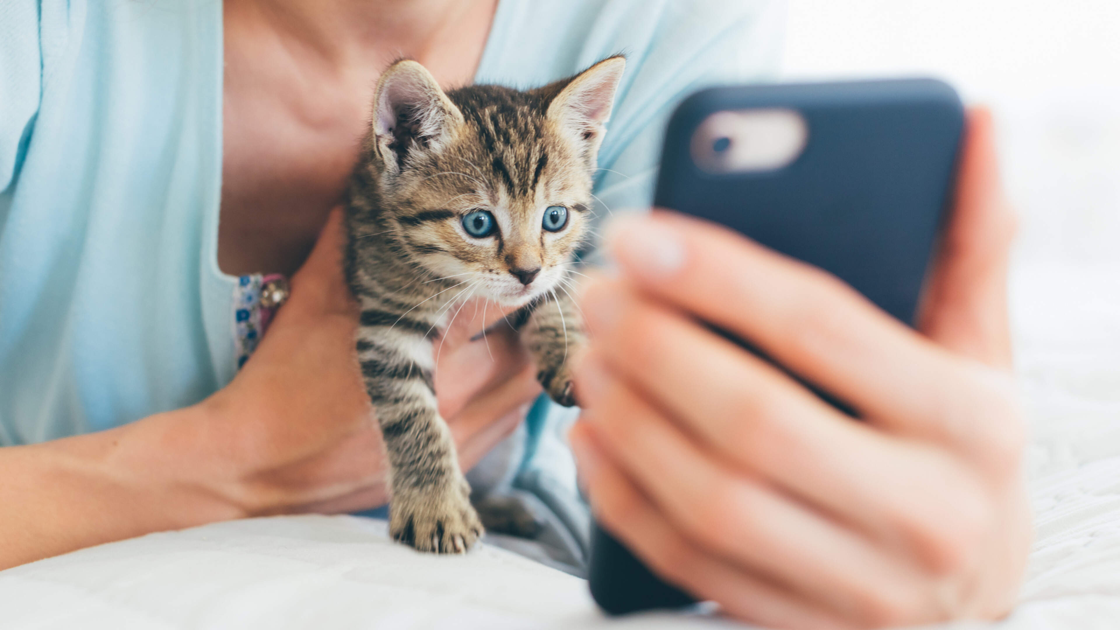 Gina London: Curiosity did not kill the cat