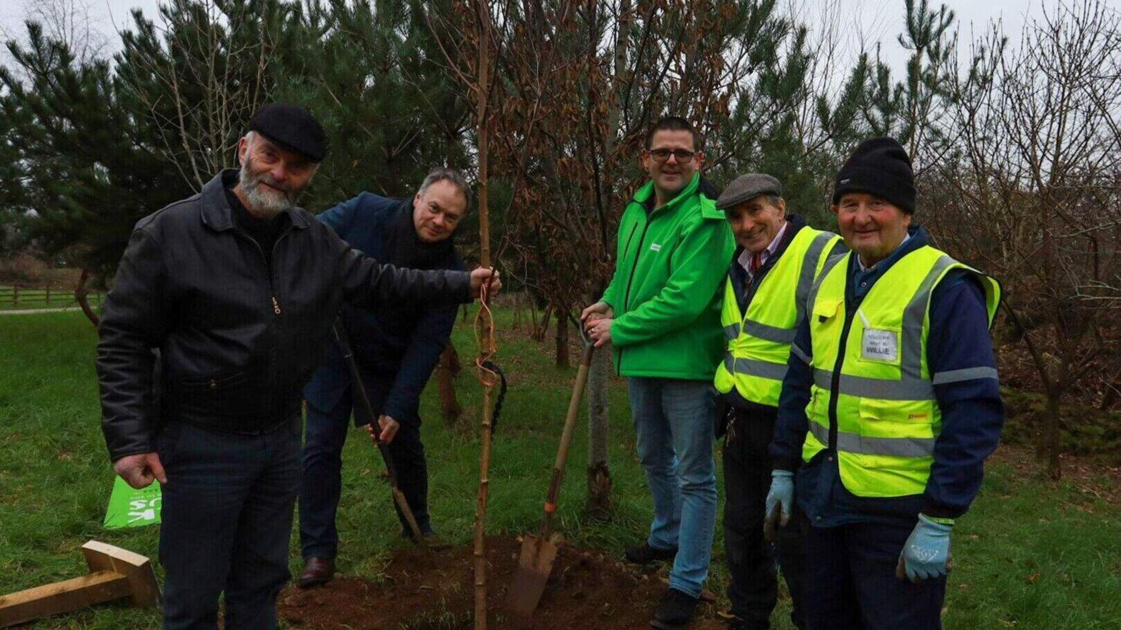 Volunteers in Wexford disappointed as remembrance tree vandalised