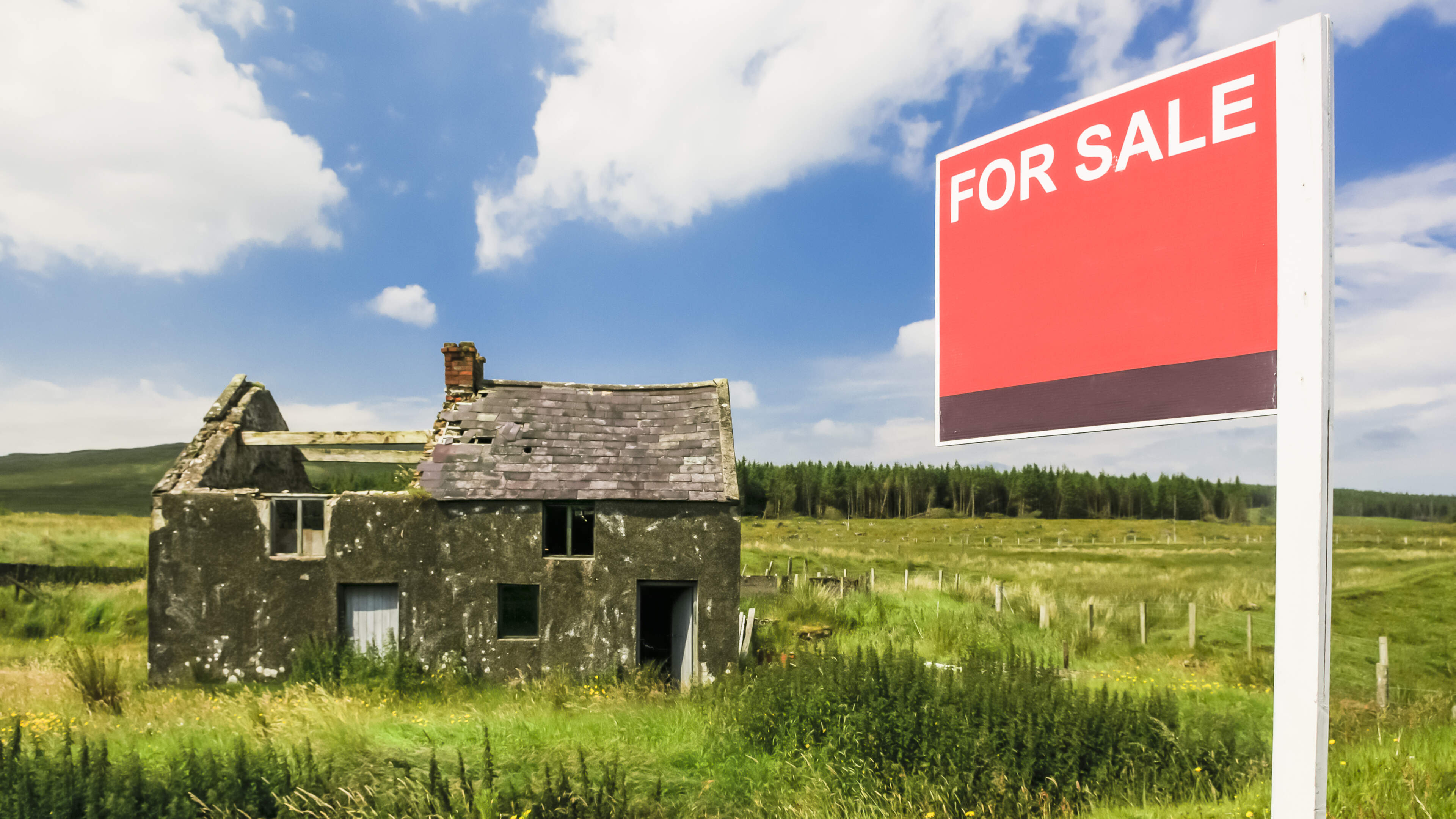 Calls made for meaningful action to stop derelict homes being left to ‘rot’ in Wexford