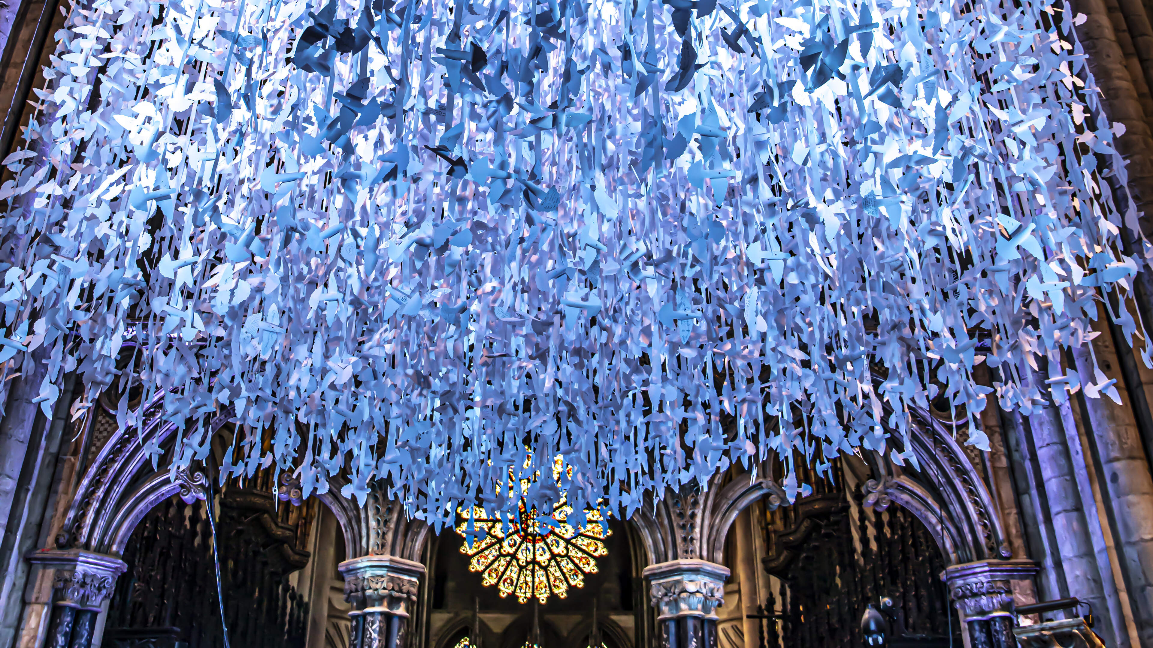 10,000 paper doves carrying messages of peace to hang from c