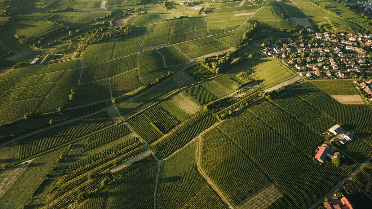 Committee urges review of zoned land tax amid fears of ‘unintended consequences' for farmers