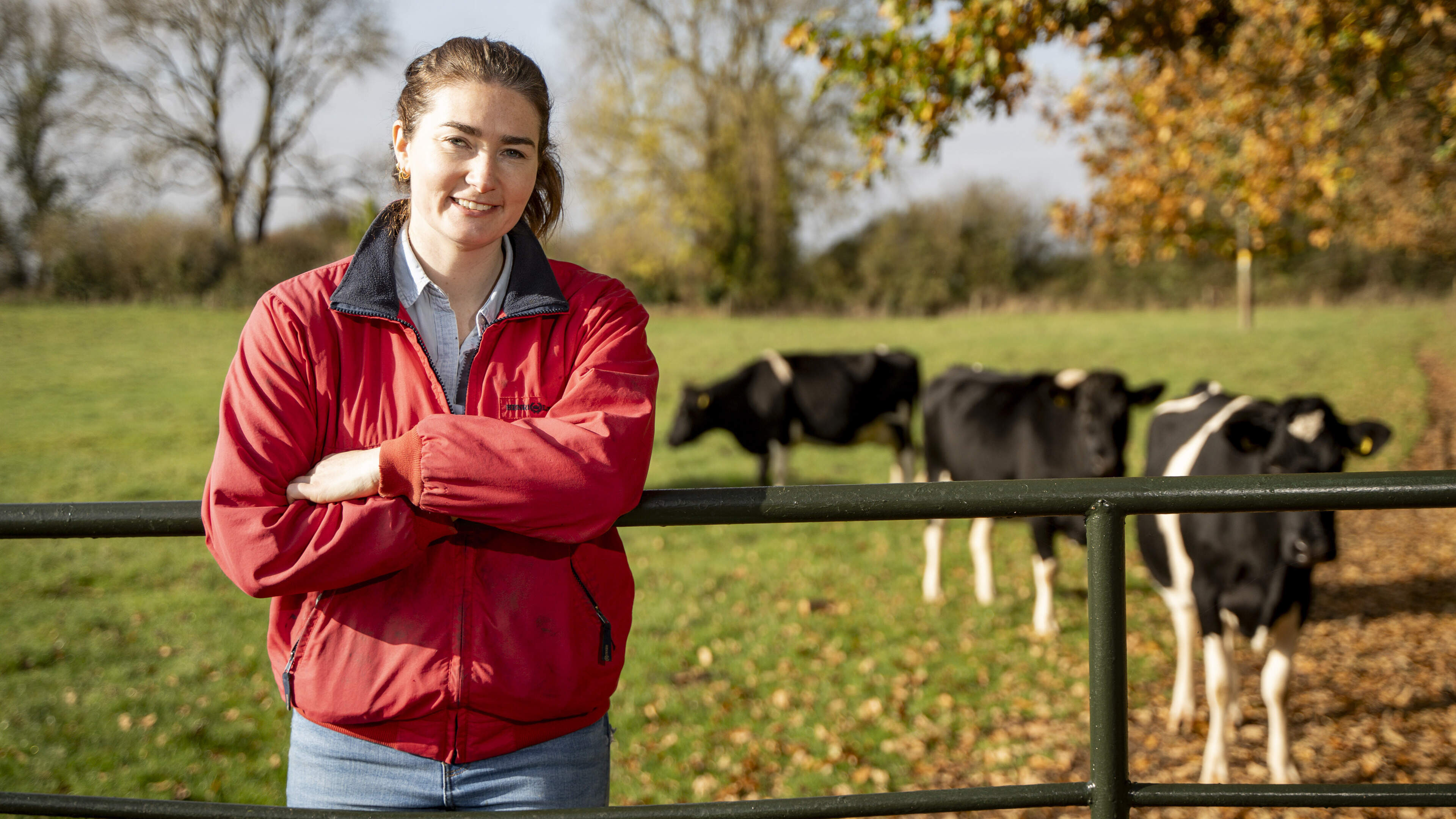 The TB vaccine exists. Why aren’t Irish farmers getting it?