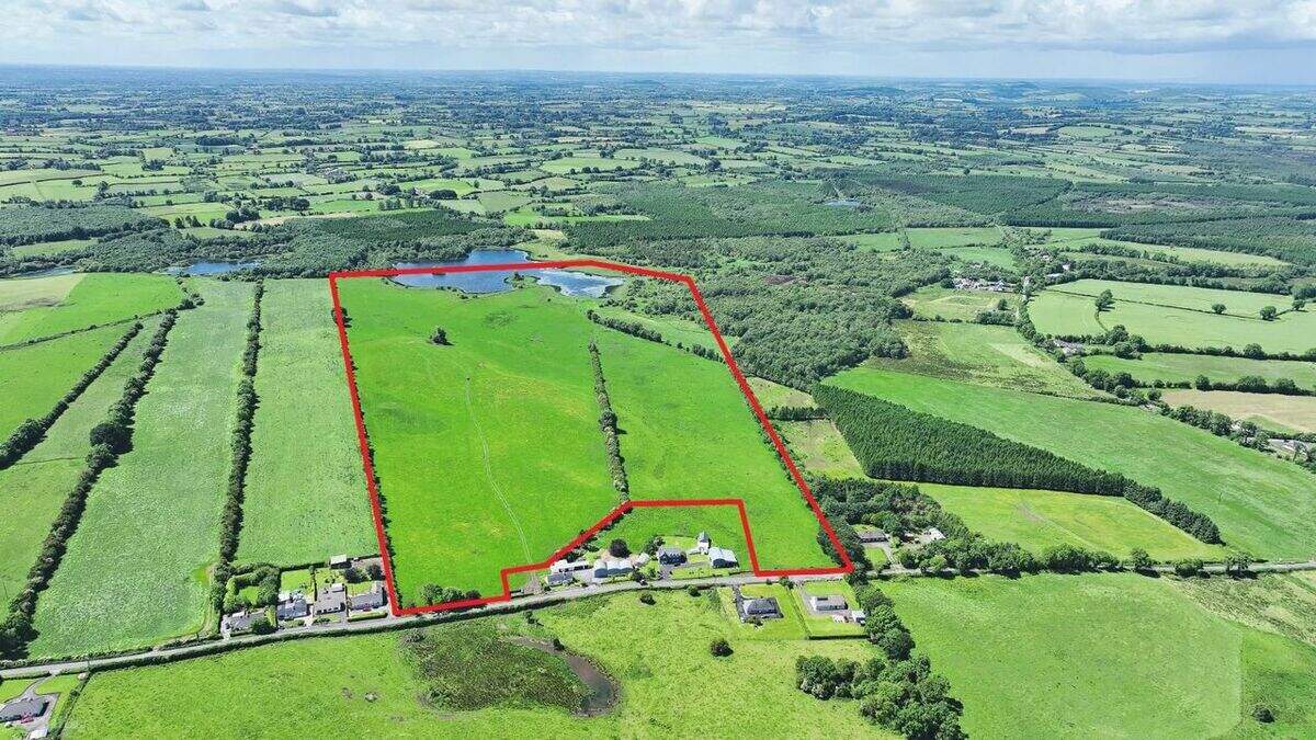Farmers, fishers and investors vie for 99ac Westmeath lakeside farm guided at €1.2m