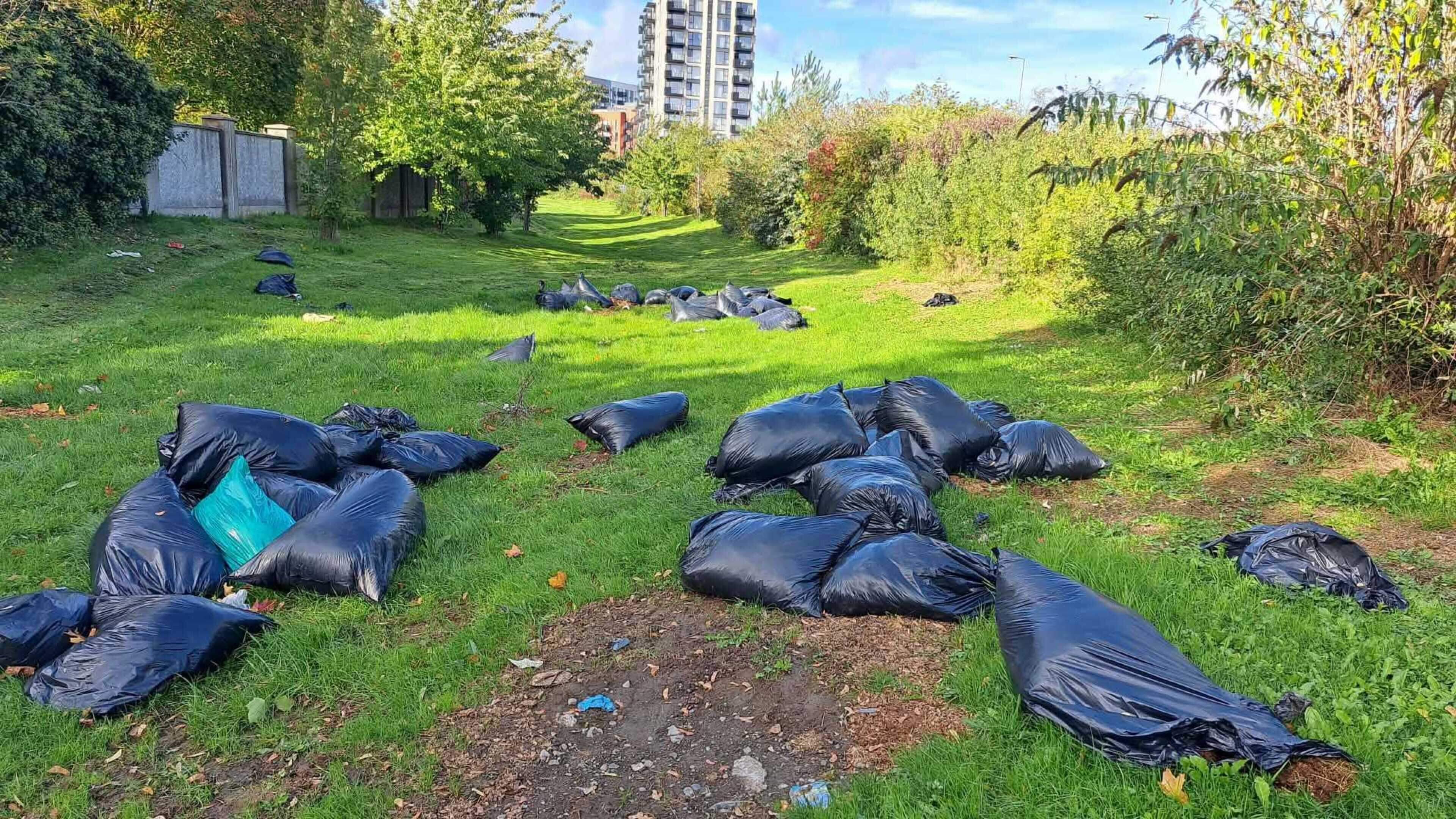 ‘People are at their wit’s end’ – locals ‘appalled’ as horse manure is dumped close to Dublin homes and schools