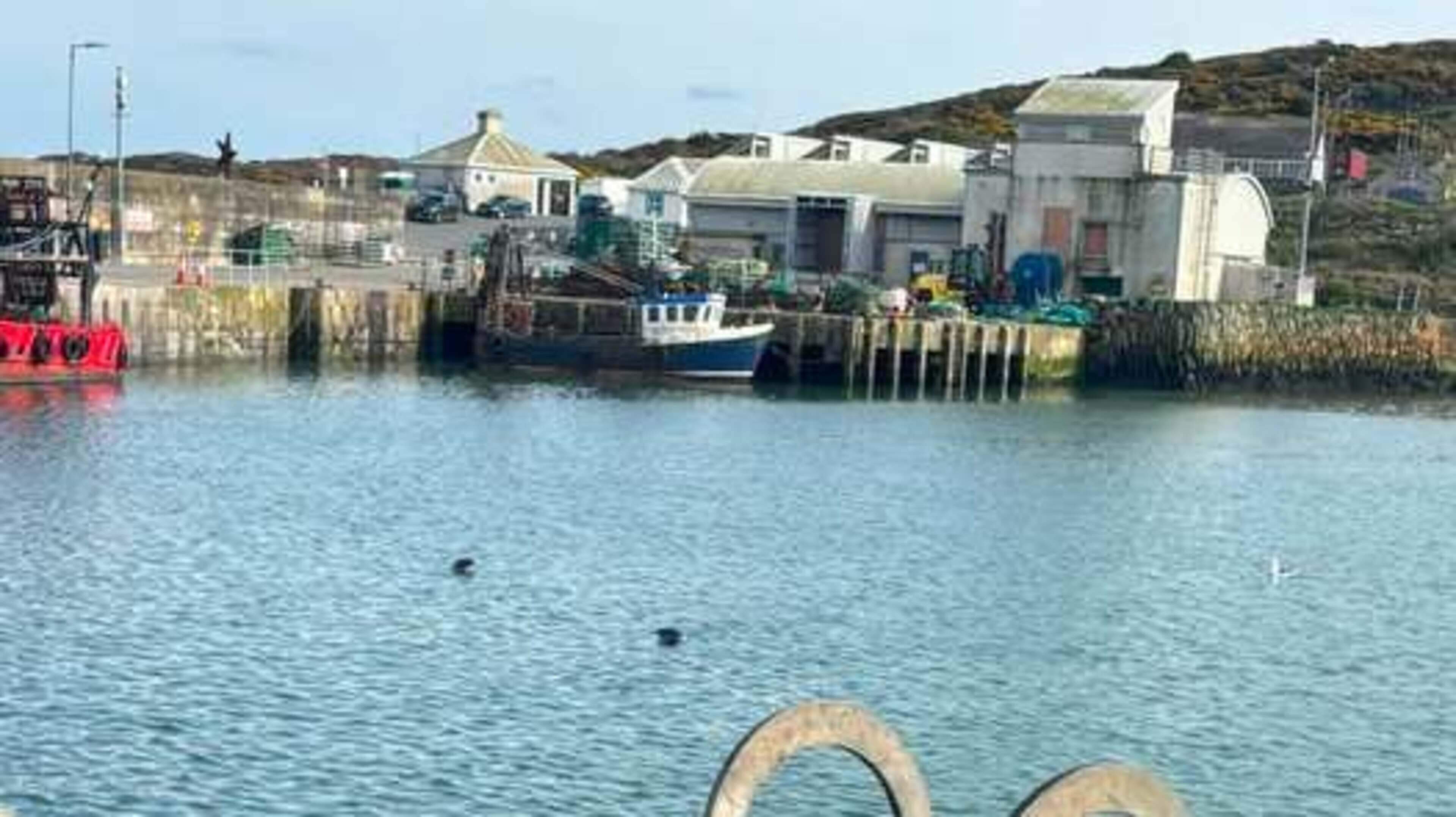 Action to be taken on illegal boats fishing out of busy Louth harbour