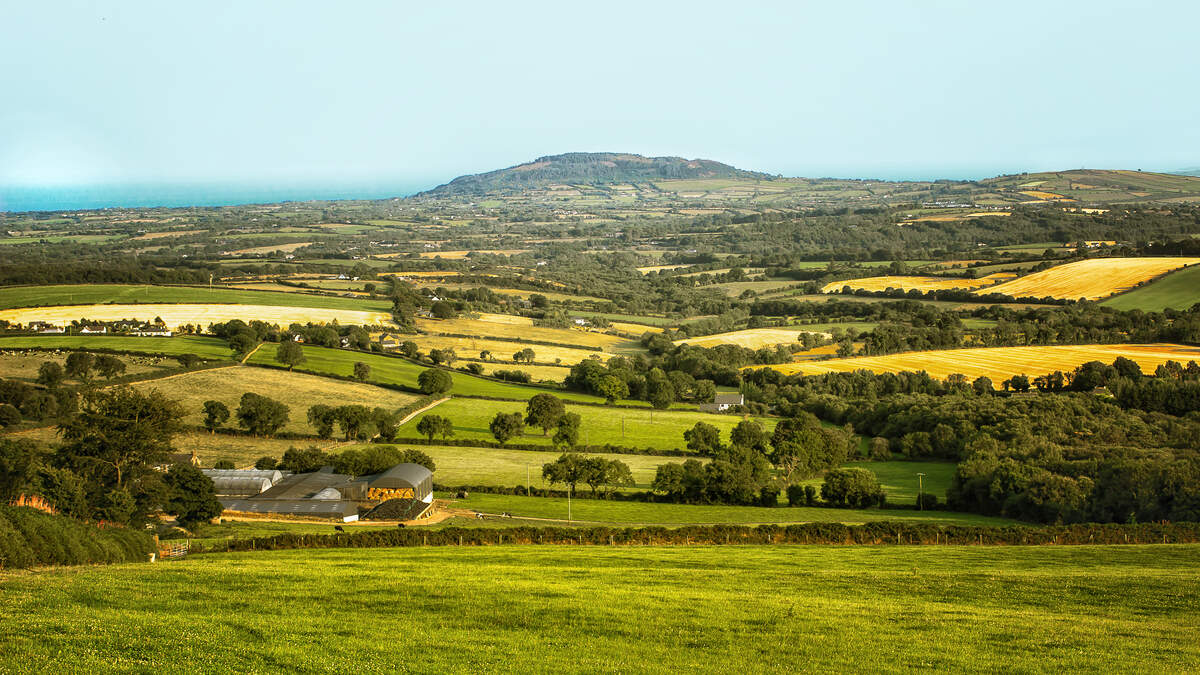 Wealthy investors driving boom in price of farmland and squeezing farmers out
