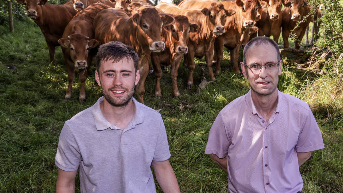 The teacher breeding top-class Limousins: inside the Kilnamaddy success story