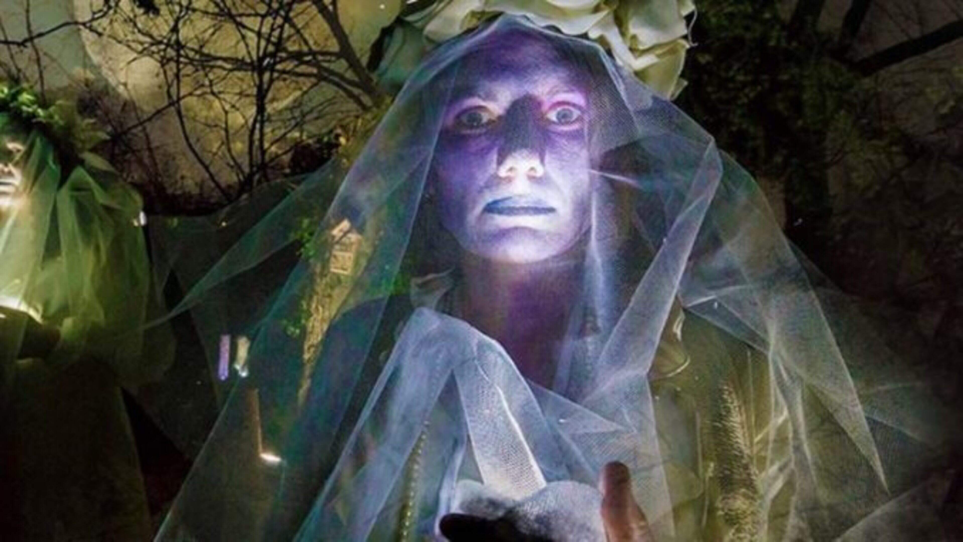 Halloween in Waterford: your guide to weird, wicked and wonderful fun events in the Déise
