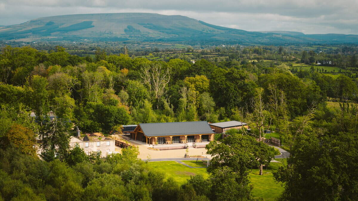 County Leitrim woods will play host to one day music festival featuring Damien Dempsey