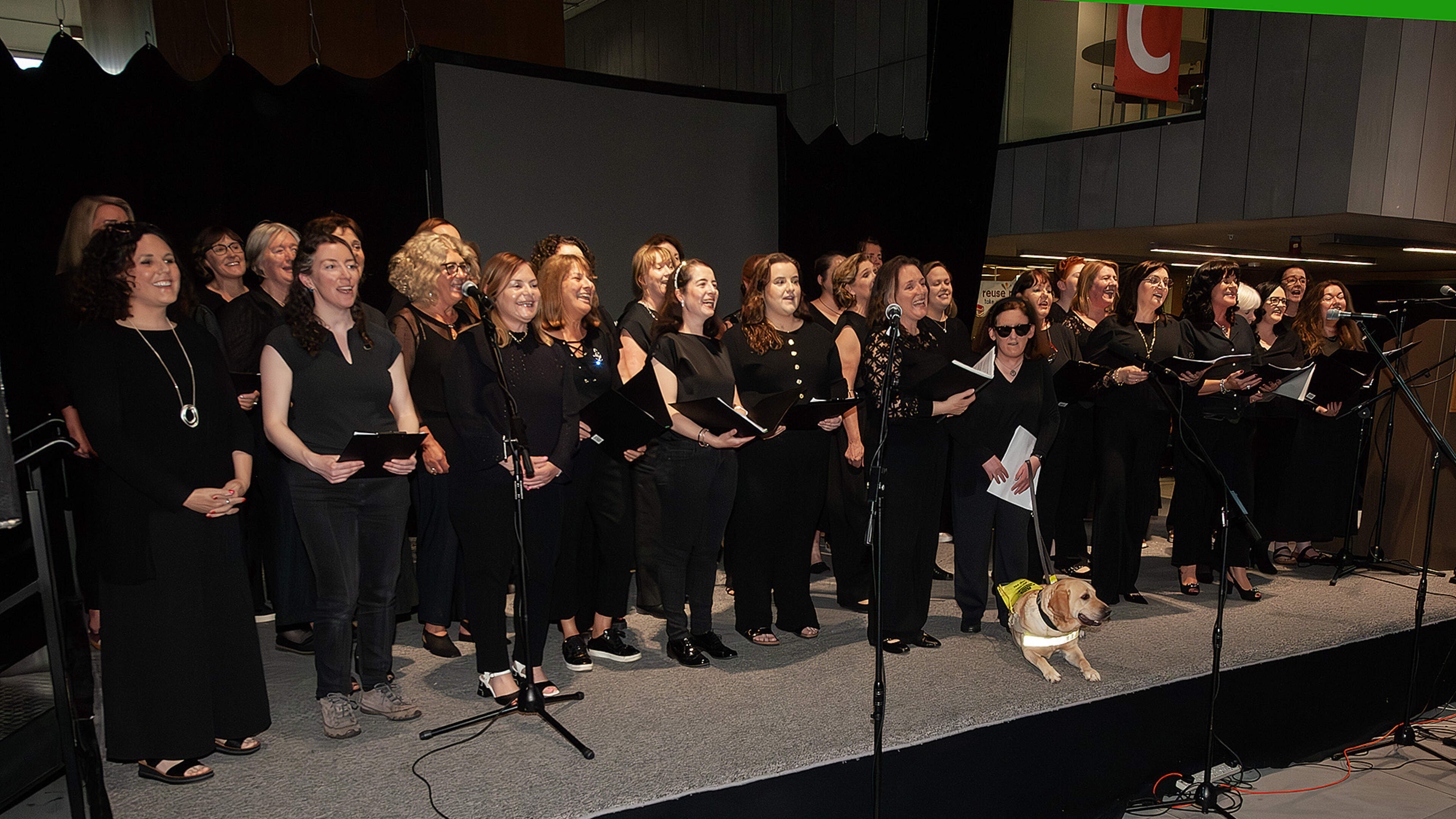 Wexford choirs unite for Irish Guide Dogs for the Blind fundraiser