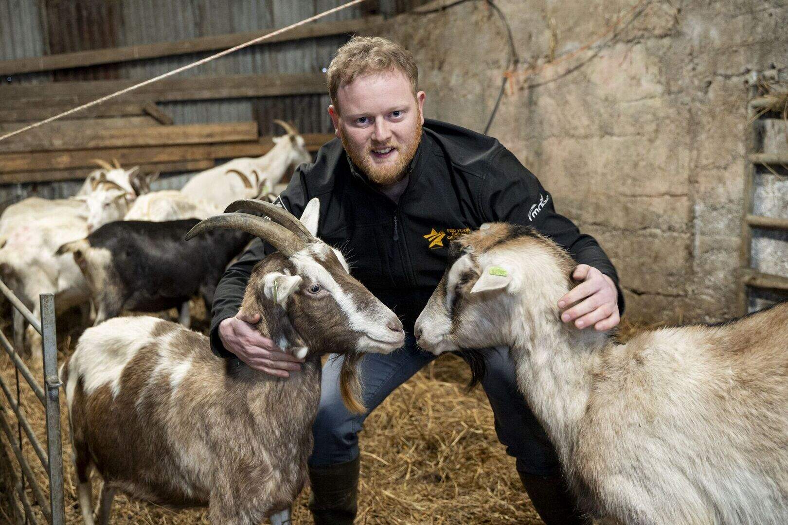 Meet the award-winning Limerick farmer bringing the goat sector to the ...