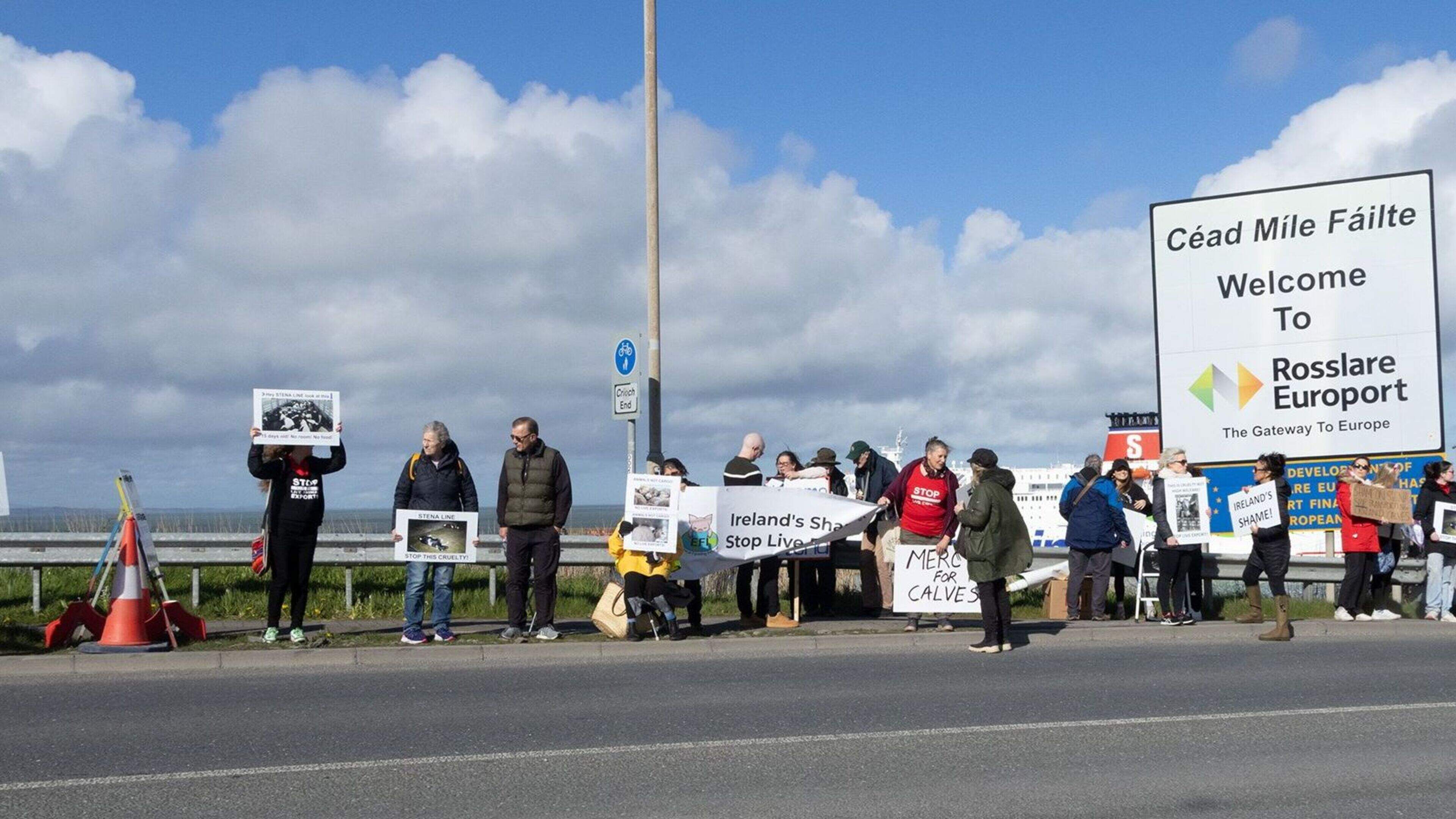Brittany Ferries announces U-turn on live exports from Rosslare after ‘sustained pressure’ from animal rights groups