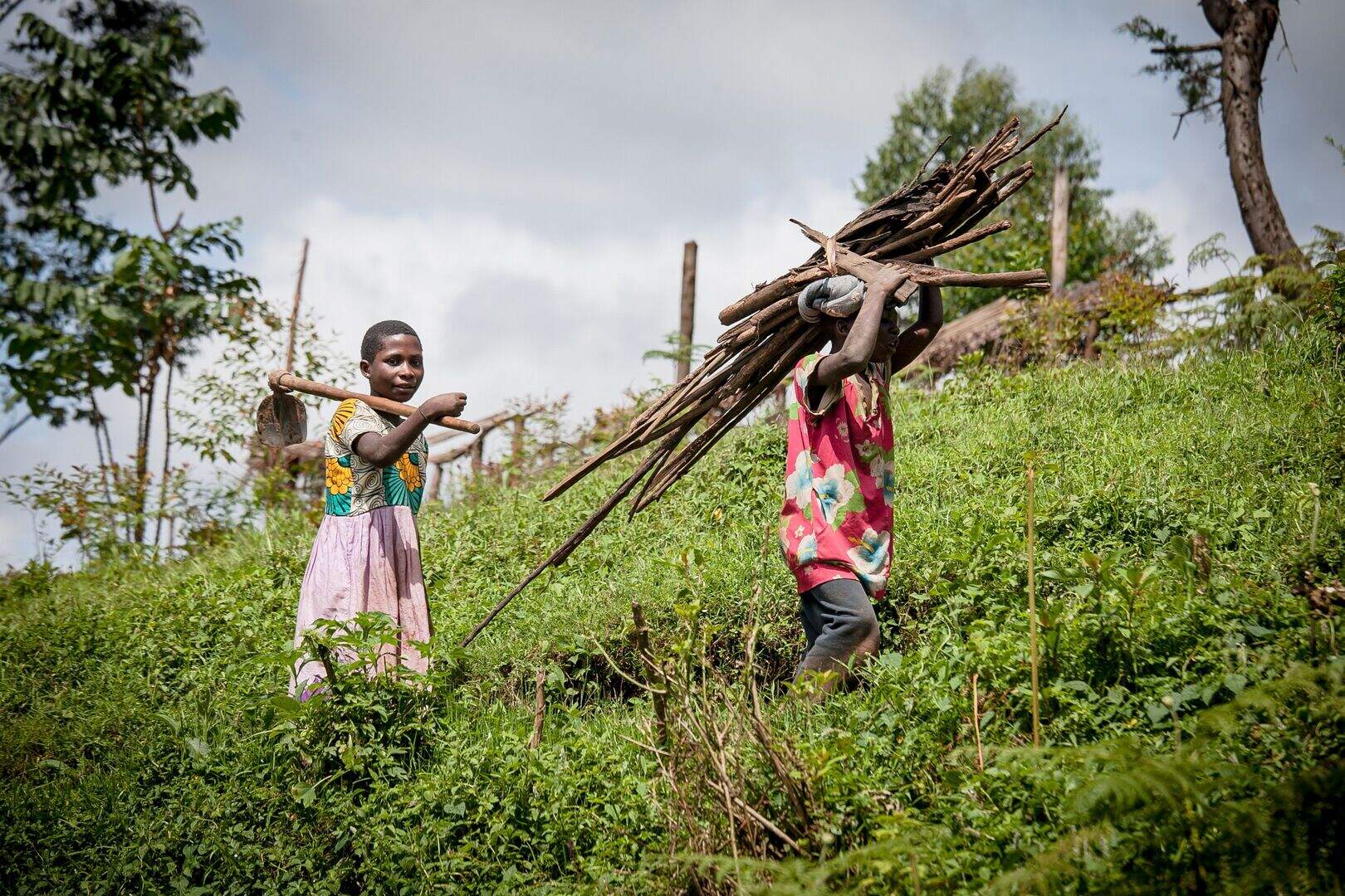 ‘I feel overawed’ – gorillas in our midst on one of the world’s most ...