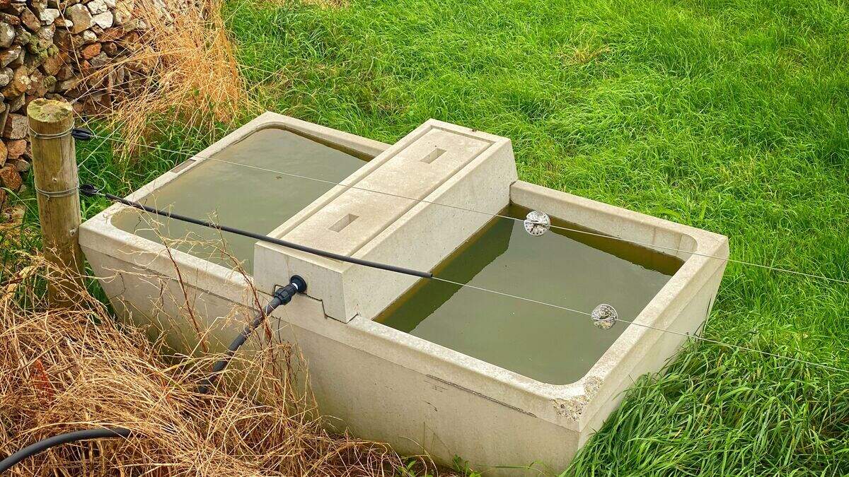 Water is the most vital input for our cattle – so make sure your ...