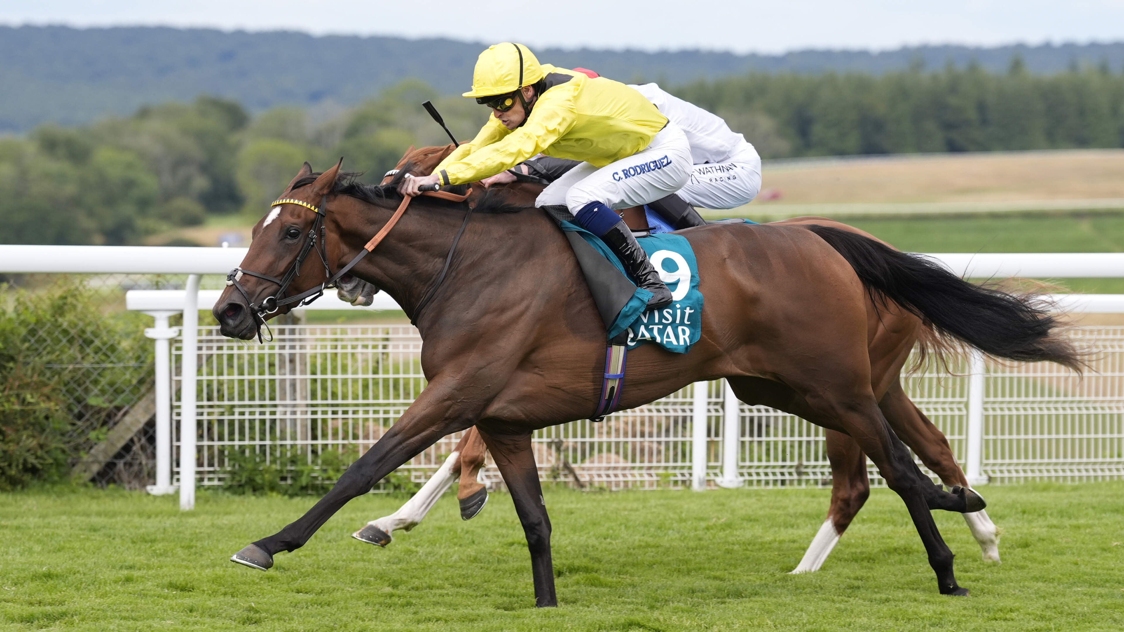 Wayne Bailey: Profitable Owen Burrows can strike again with Waardah at Goodwood