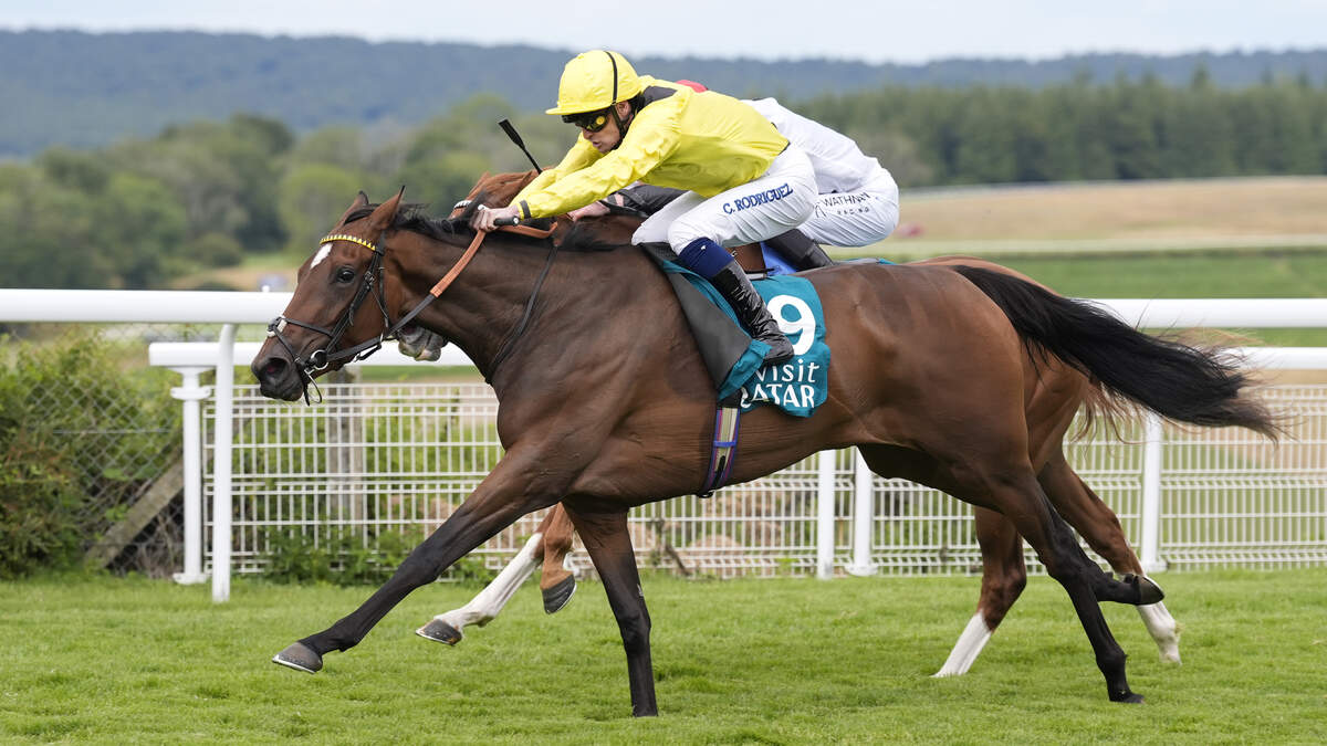 Wayne Bailey: Profitable Owen Burrows can strike again with Waardah at Goodwood