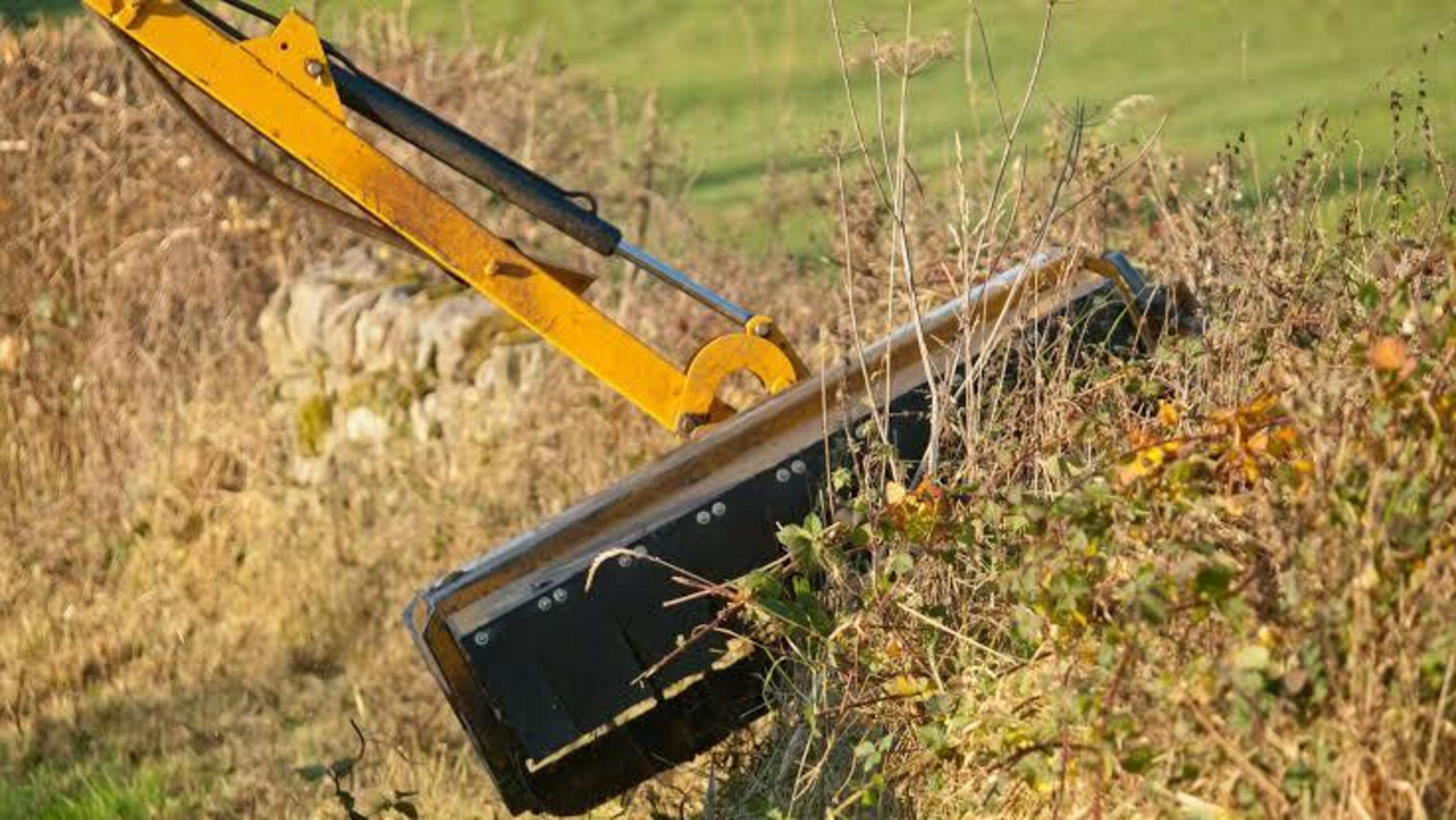 Kerry councillor calls for hedge cutting grant scheme