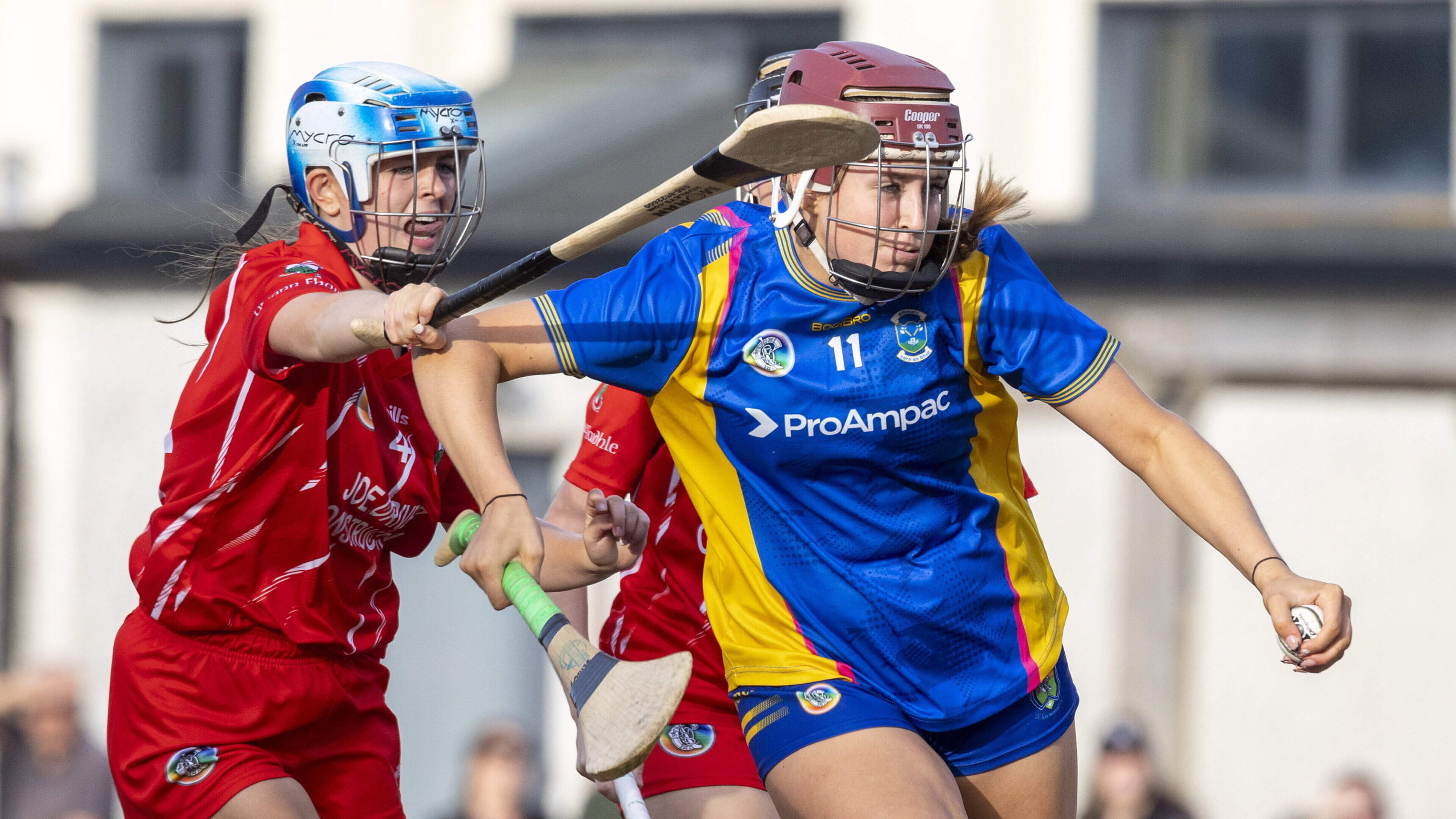 Carnew Emmets battle back to earn draw against Glenealy in camogie championship
