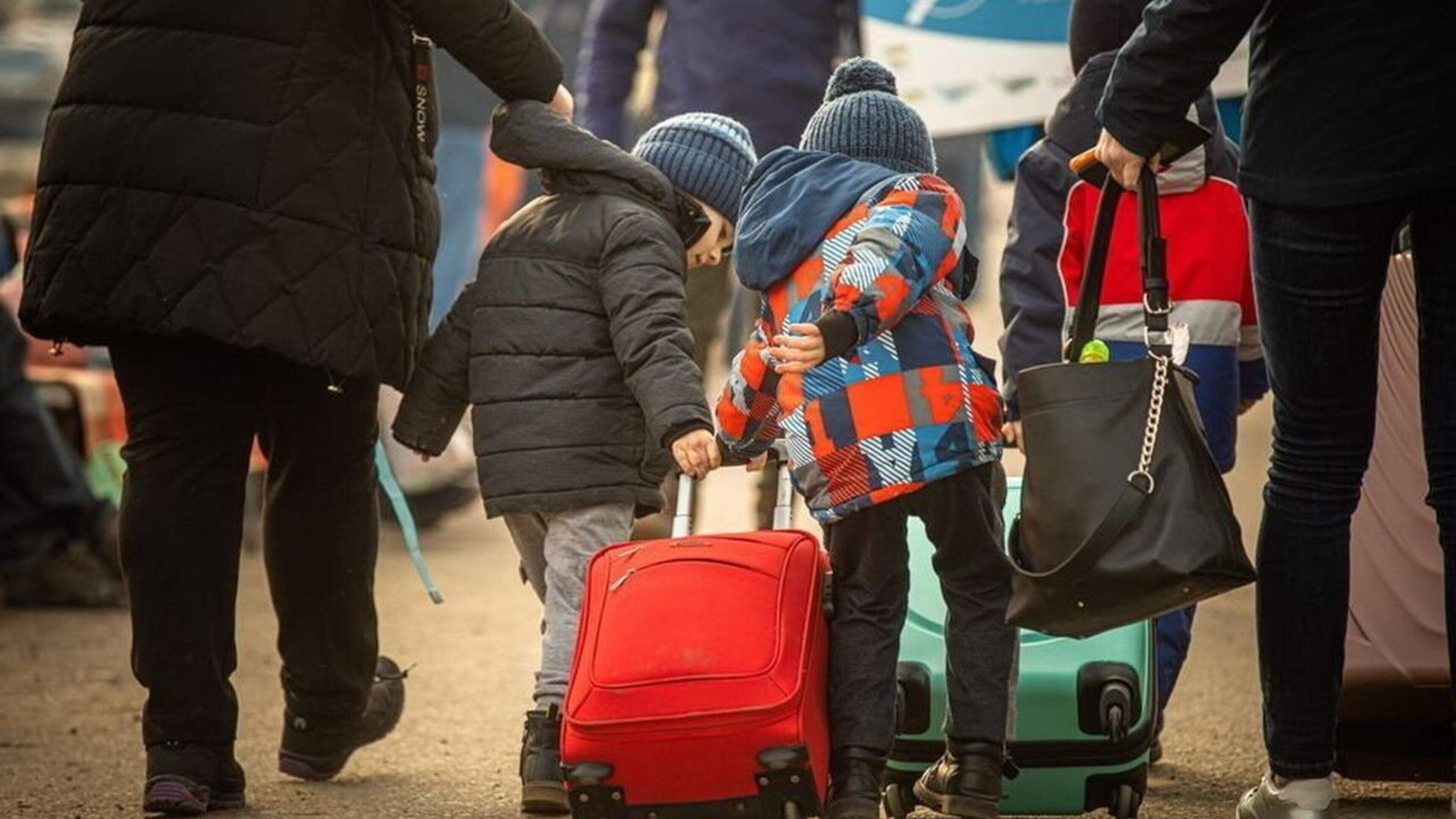 Wicklow councillors warned of ‘tsunami’ as State support cuts risk hidden homelessness for Ukrainians