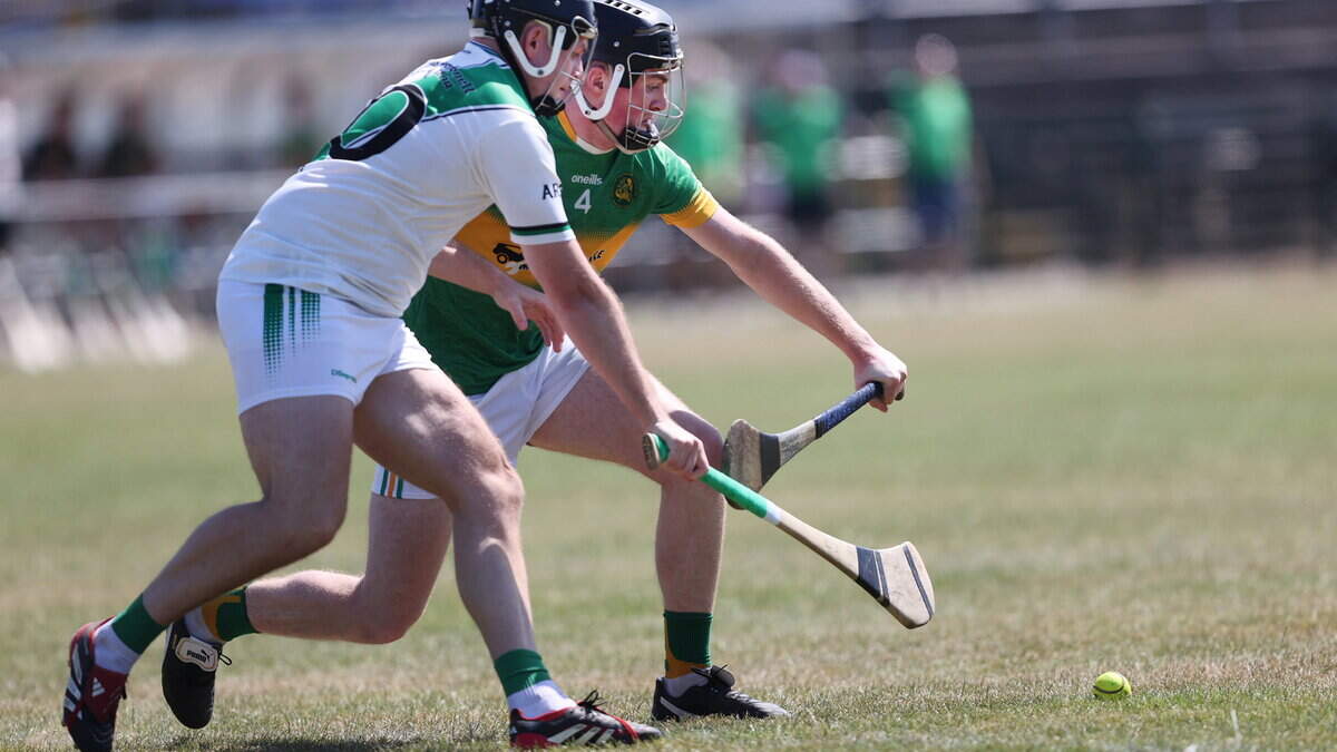 Kilcoole come out on the right side of tough battle with Arklow Rock Parnells in Intermediate Hurling League final