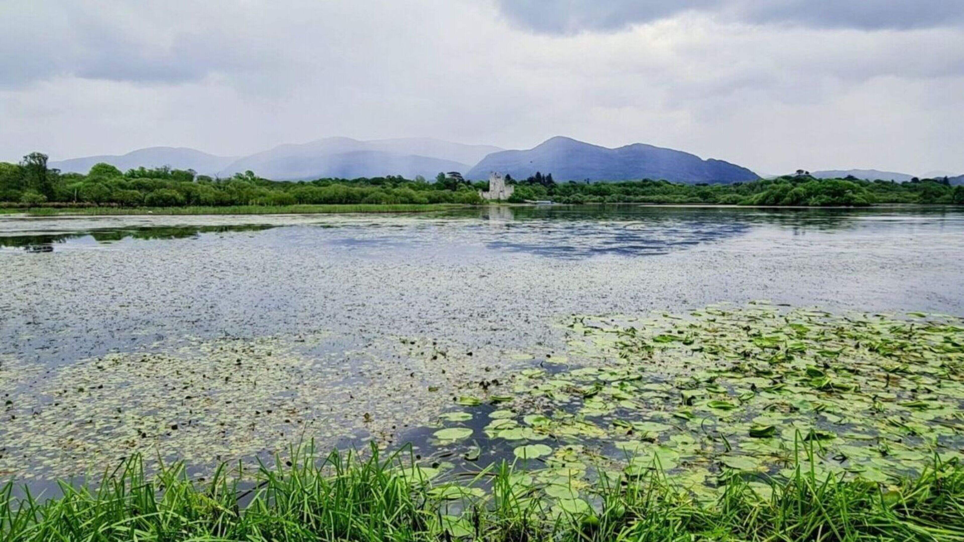 Water quality fund opens to Kerry’s community groups