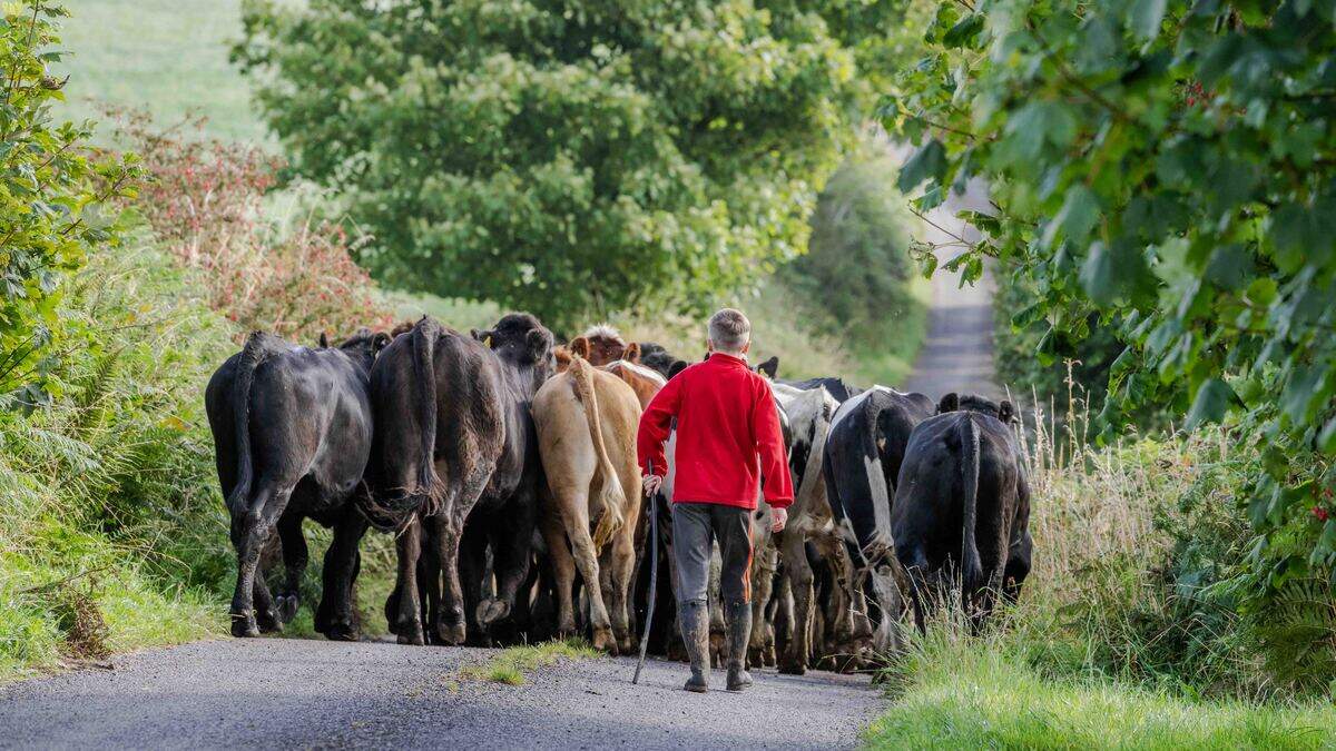 The CAP proposal that could finally give farmers a day off