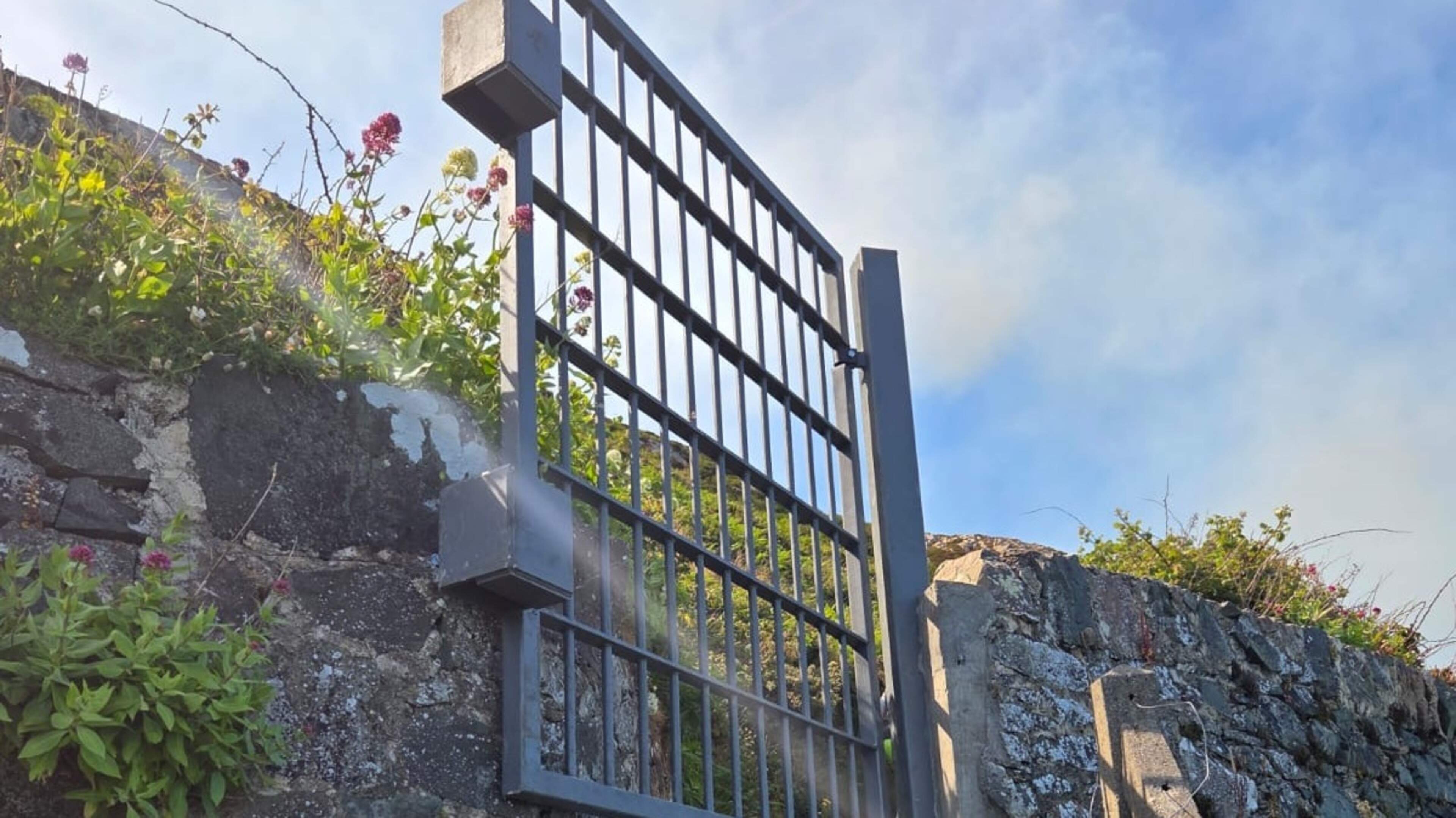 Wicklow County Council defends new gate on Cliff Walk amid local backlash 