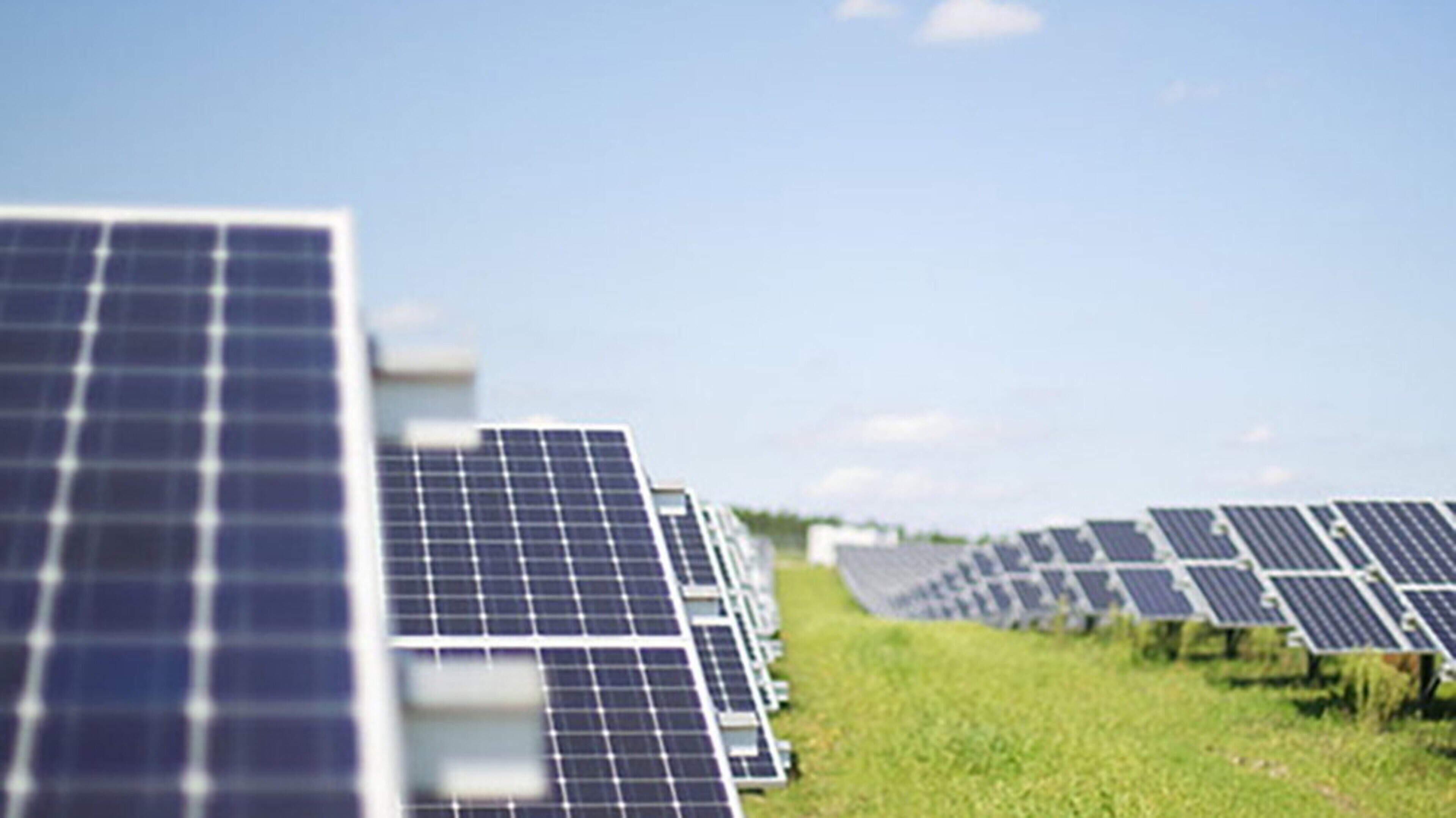 Kerry senator said communities deserve ‘fast-track policy’ on solar farm rules