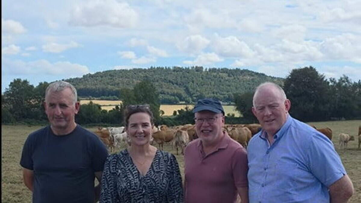 Calls for urgent action as drought threatens Wexford farmers and winter fodder supplies