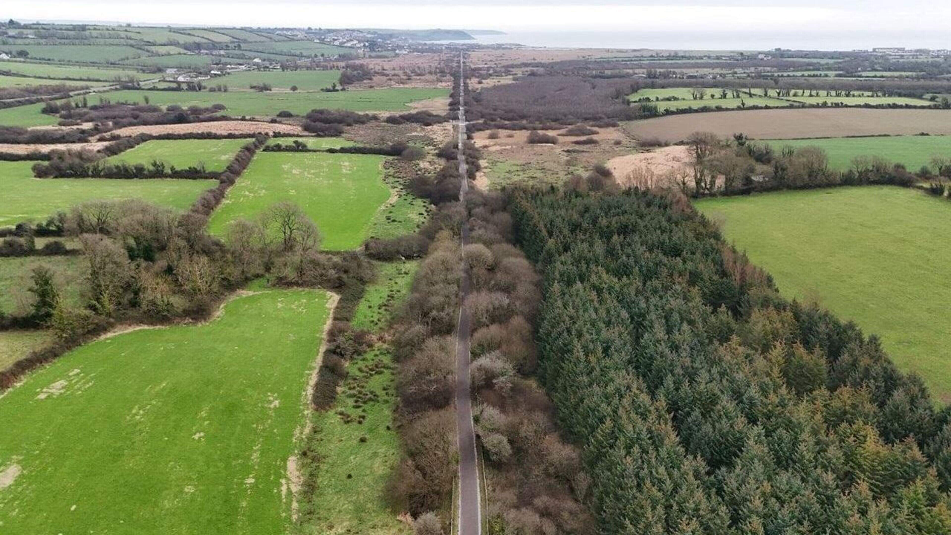 Cork councillors call for national funding to maintain greenways