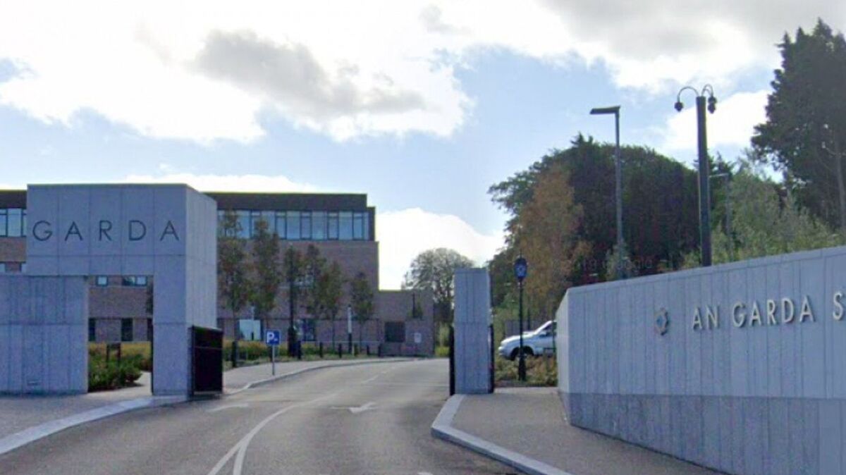 Armed gardai arrest man acting aggressively with baseball bat in Wexford village