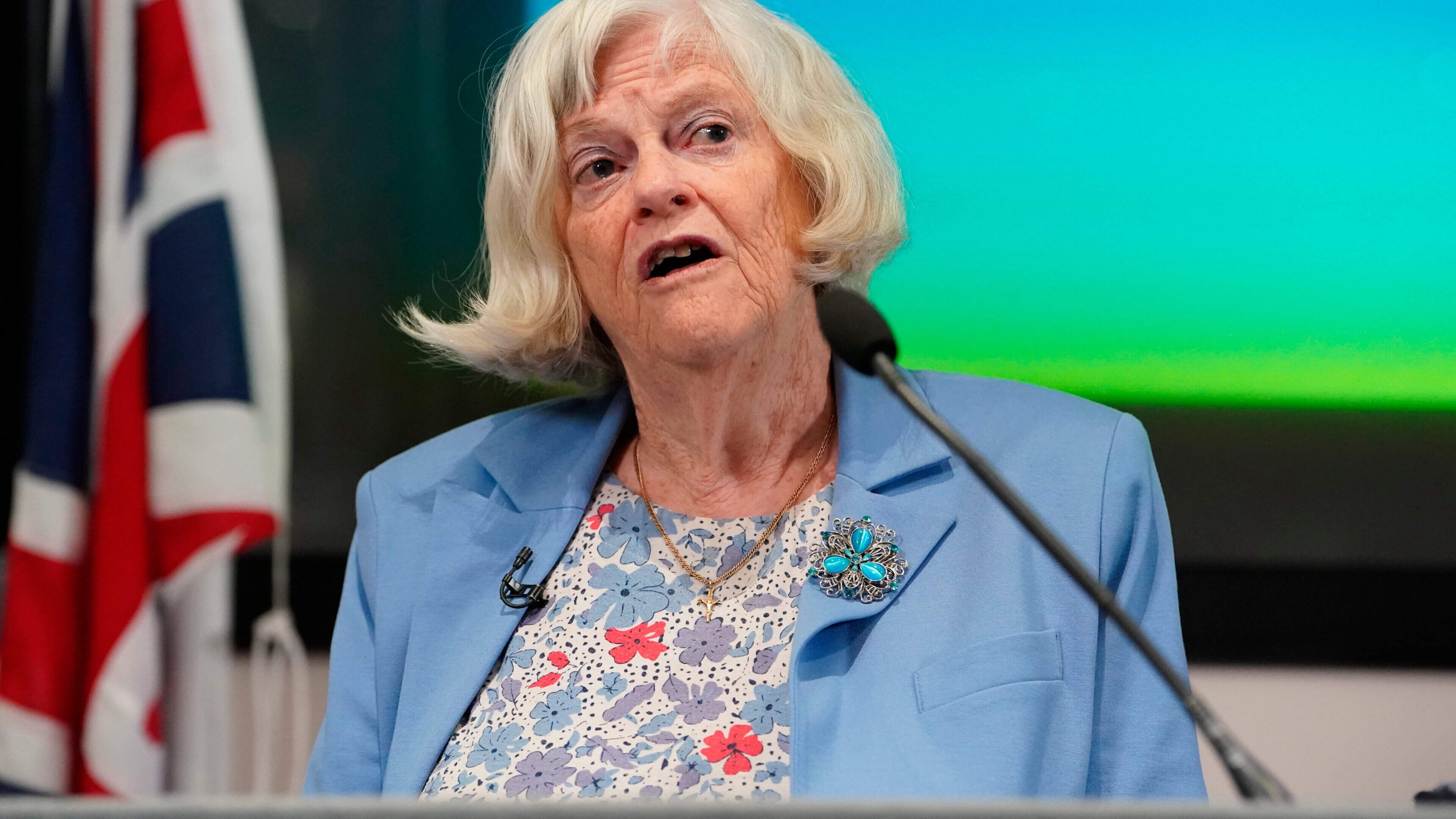 Ann Widdecombe hit on head 21 times with hammer in planned attack, court hears