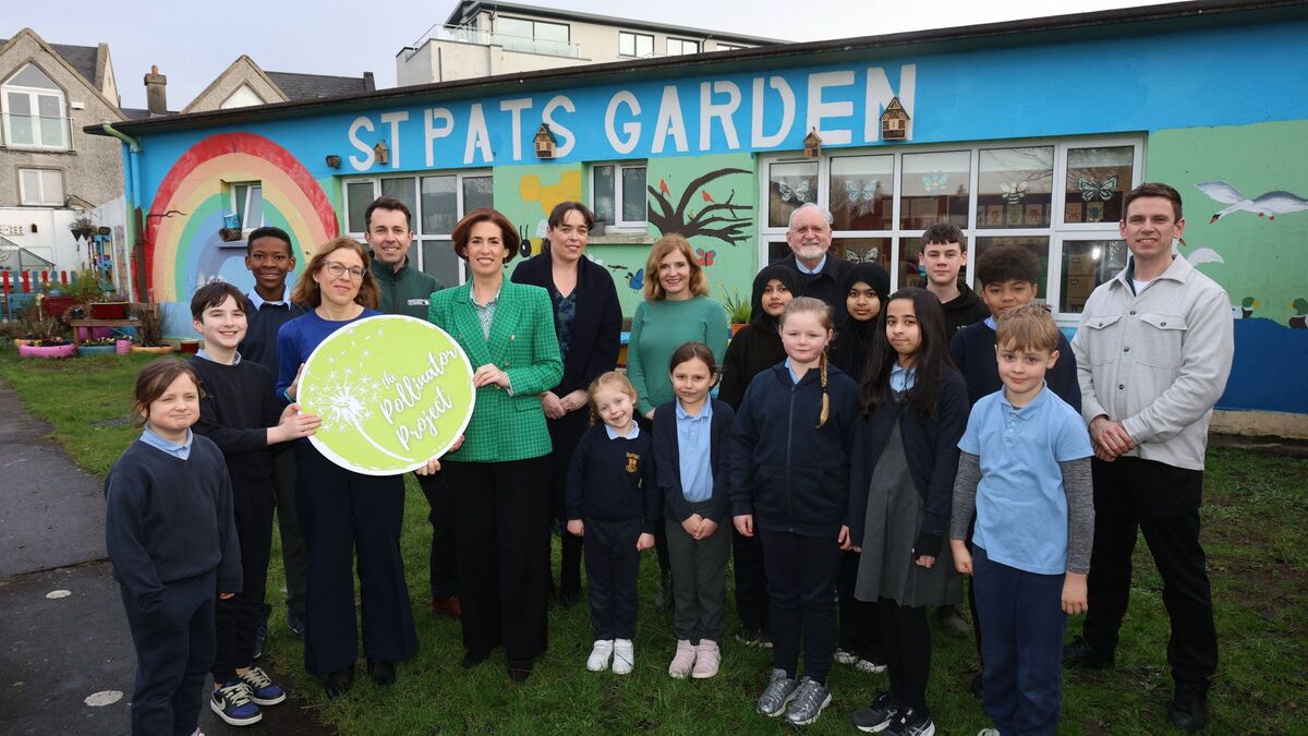 Kerry schools will take part in project aimed at helping pupils create ...